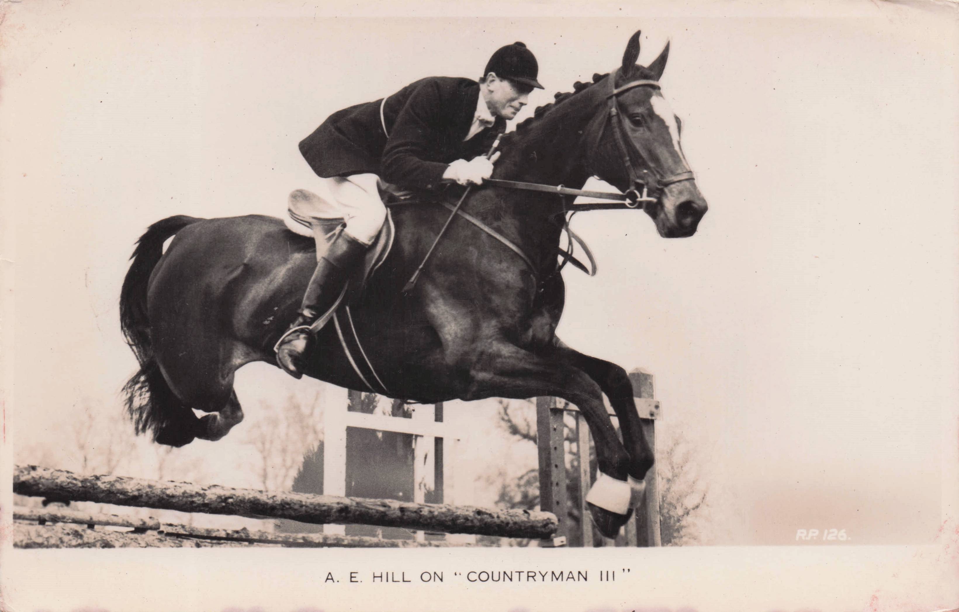 Albert Hill On Countryman Horse 1950s TV Showjumping Old Postcard