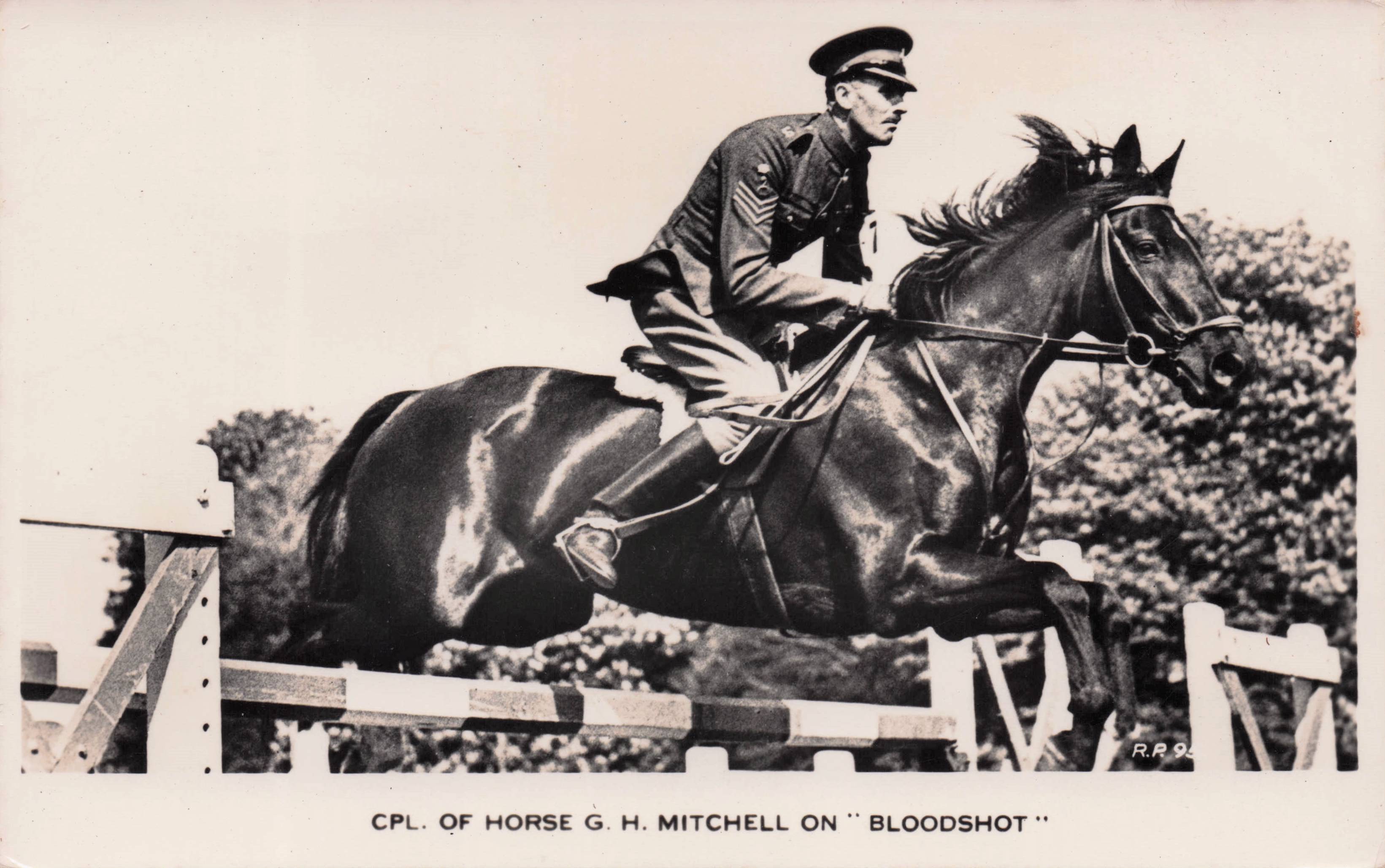 Corporal GH Mitchell Bloodshot Horse 1950s Showjumping Old Postcard