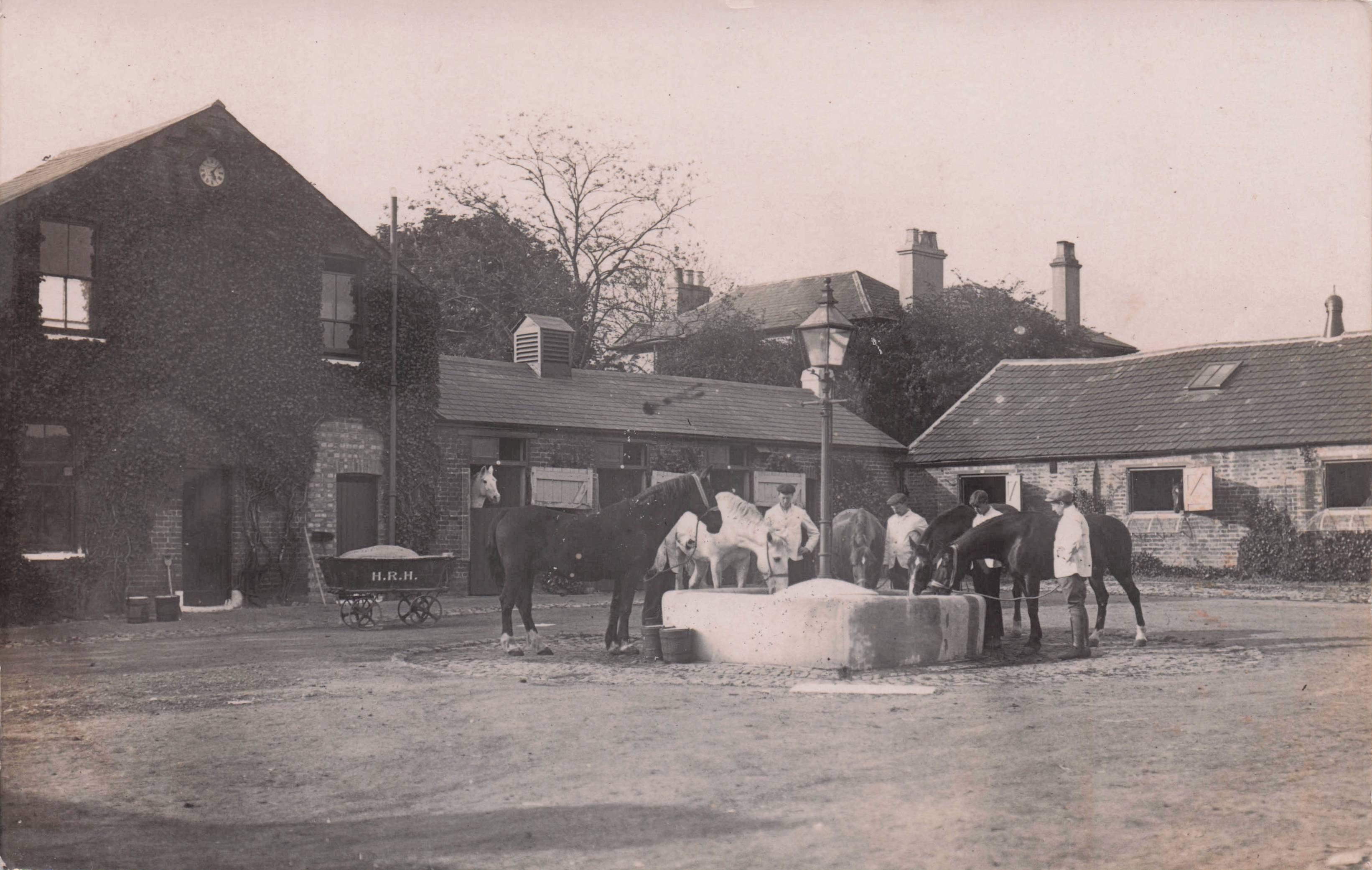 Cricklewood London Horses Home Of Rest Antique Real Photo Postcard