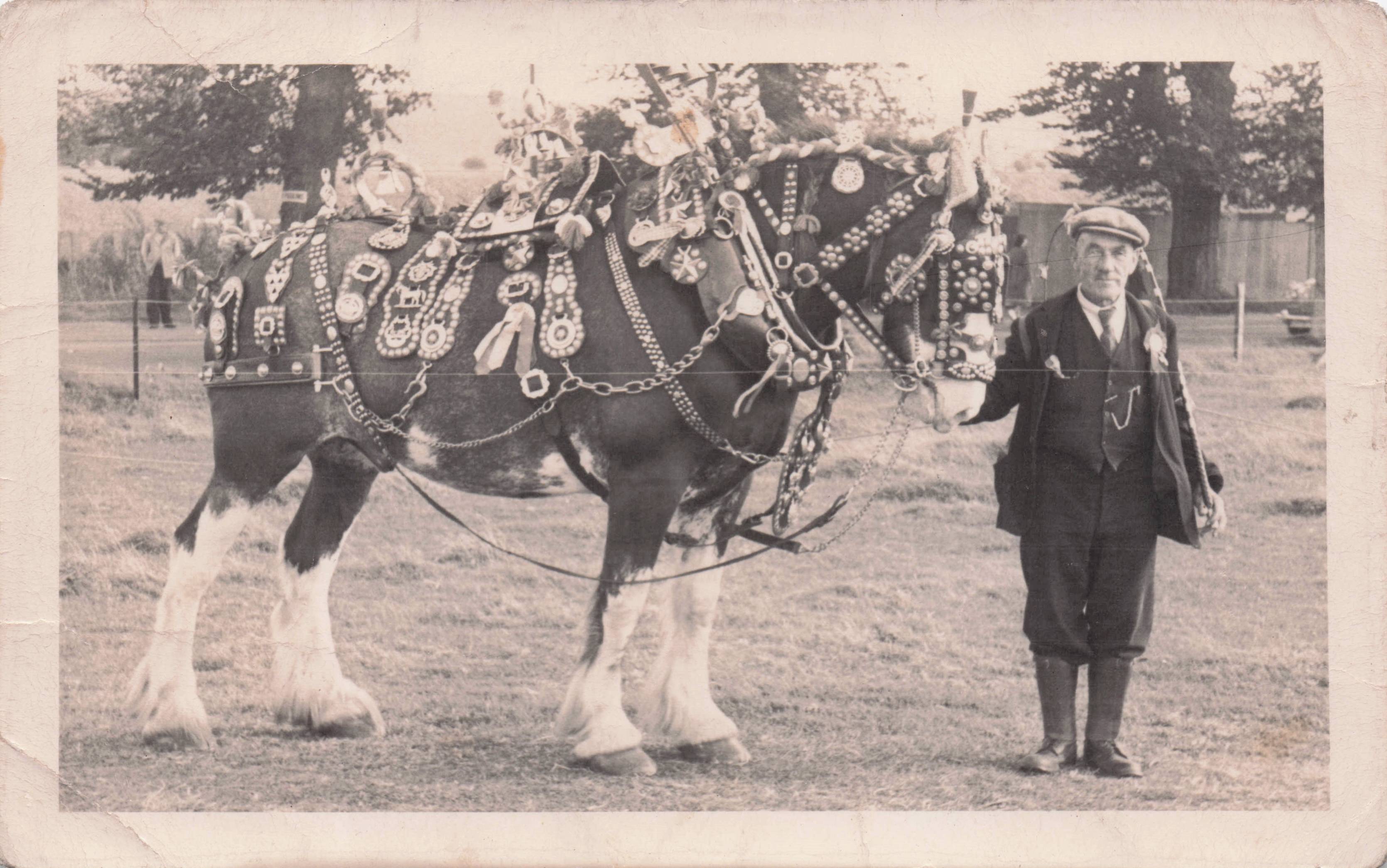 Prince 1962 Dorchester Prize Horse & Harry Davis Original Old Photo