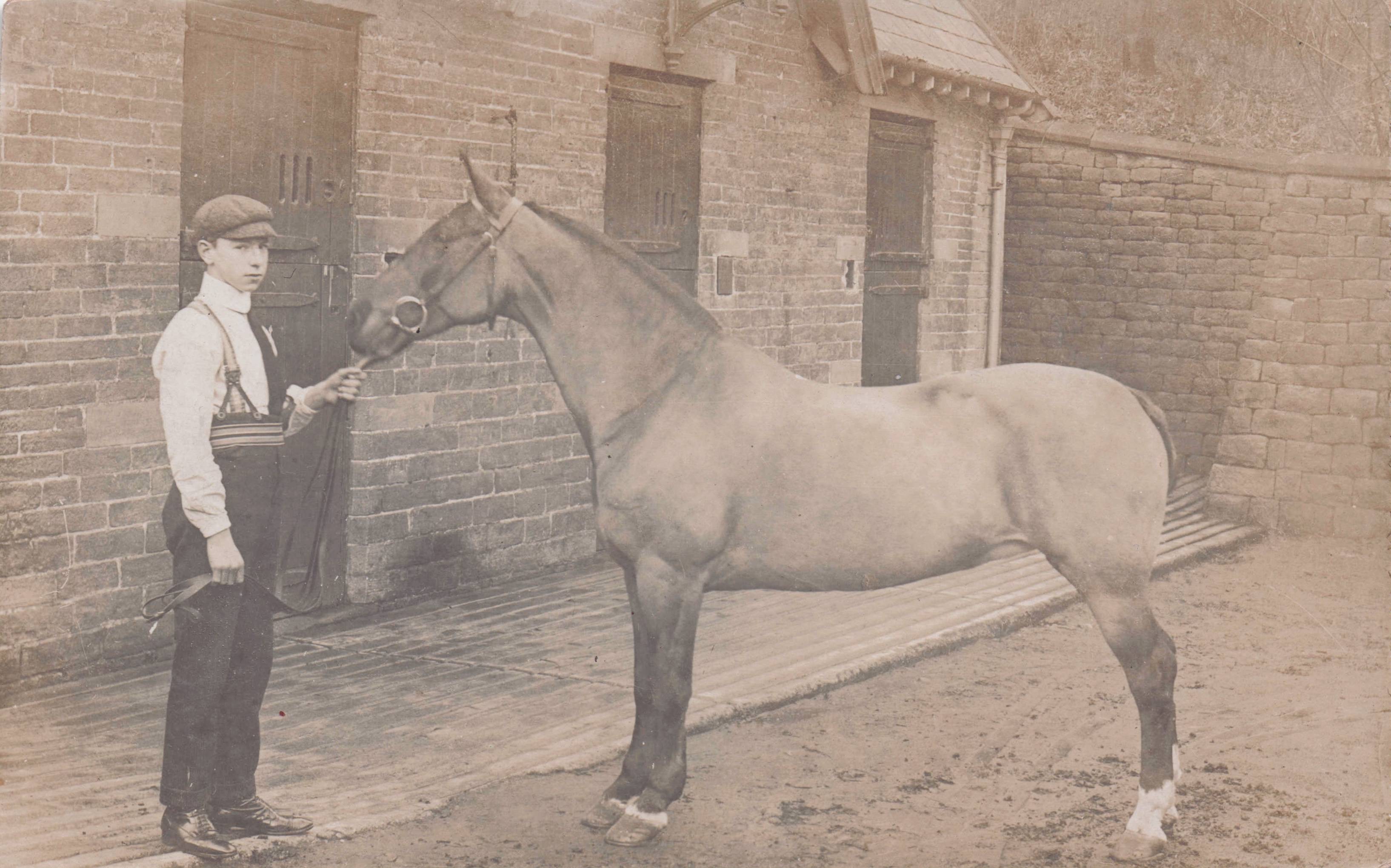 Wild Braces Of Boy Horse Owner At Stables Antique Real Photo Postcard