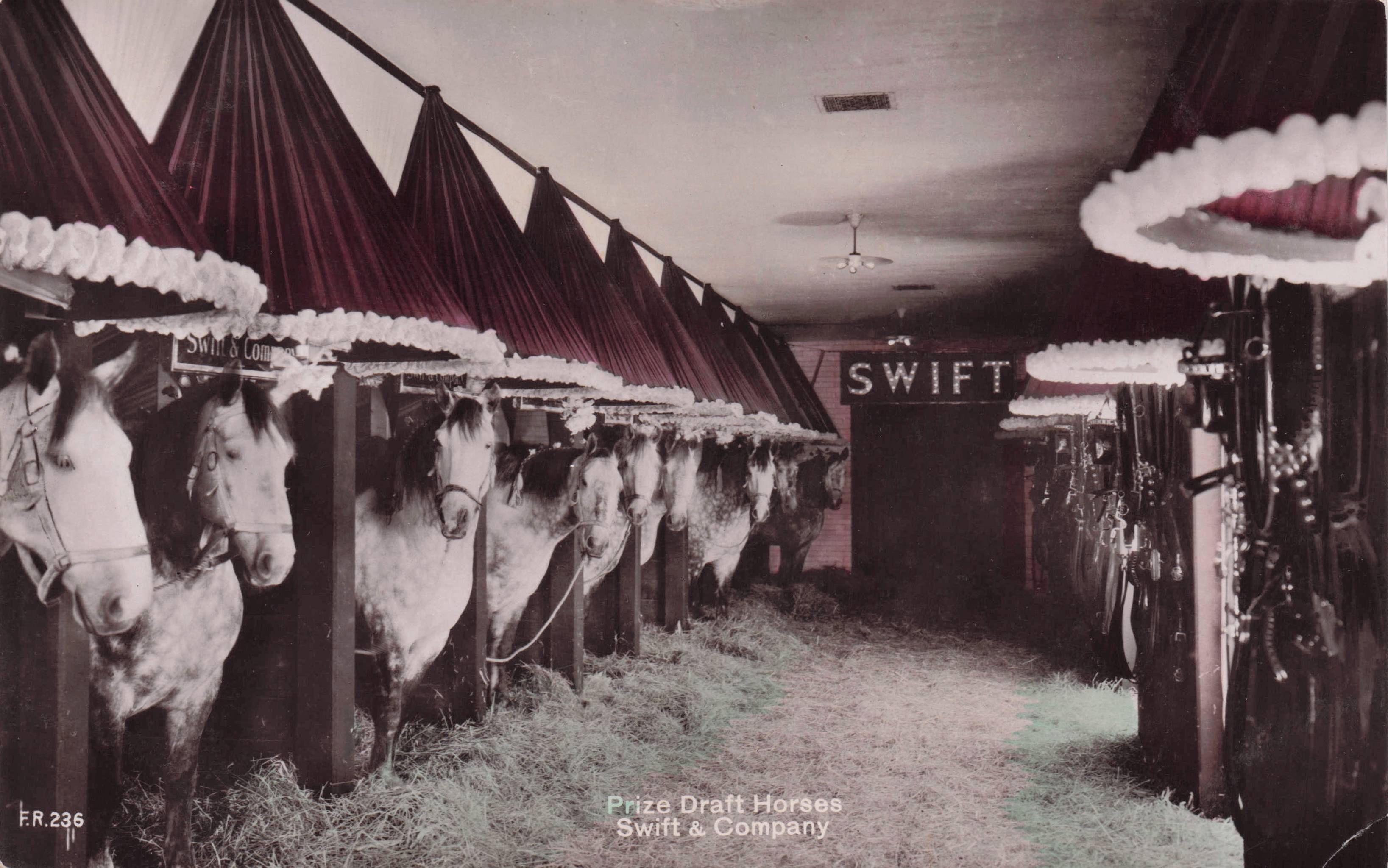 Prize Draft Horses Swift & Company Chicago Illinois RPC USA Postcard