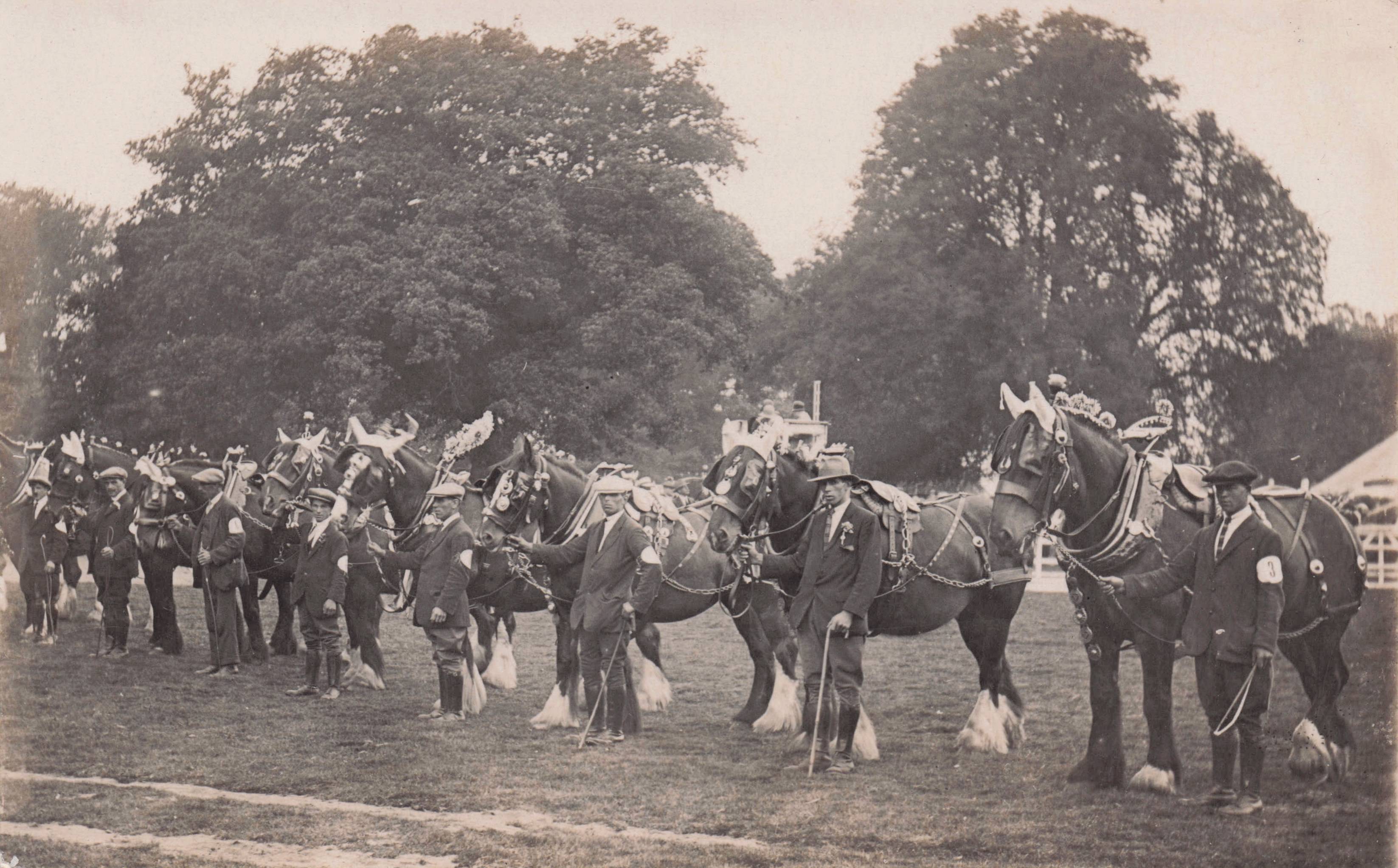 Forton Horse Show Newport Staffordshire Antique Real Photo Postcard