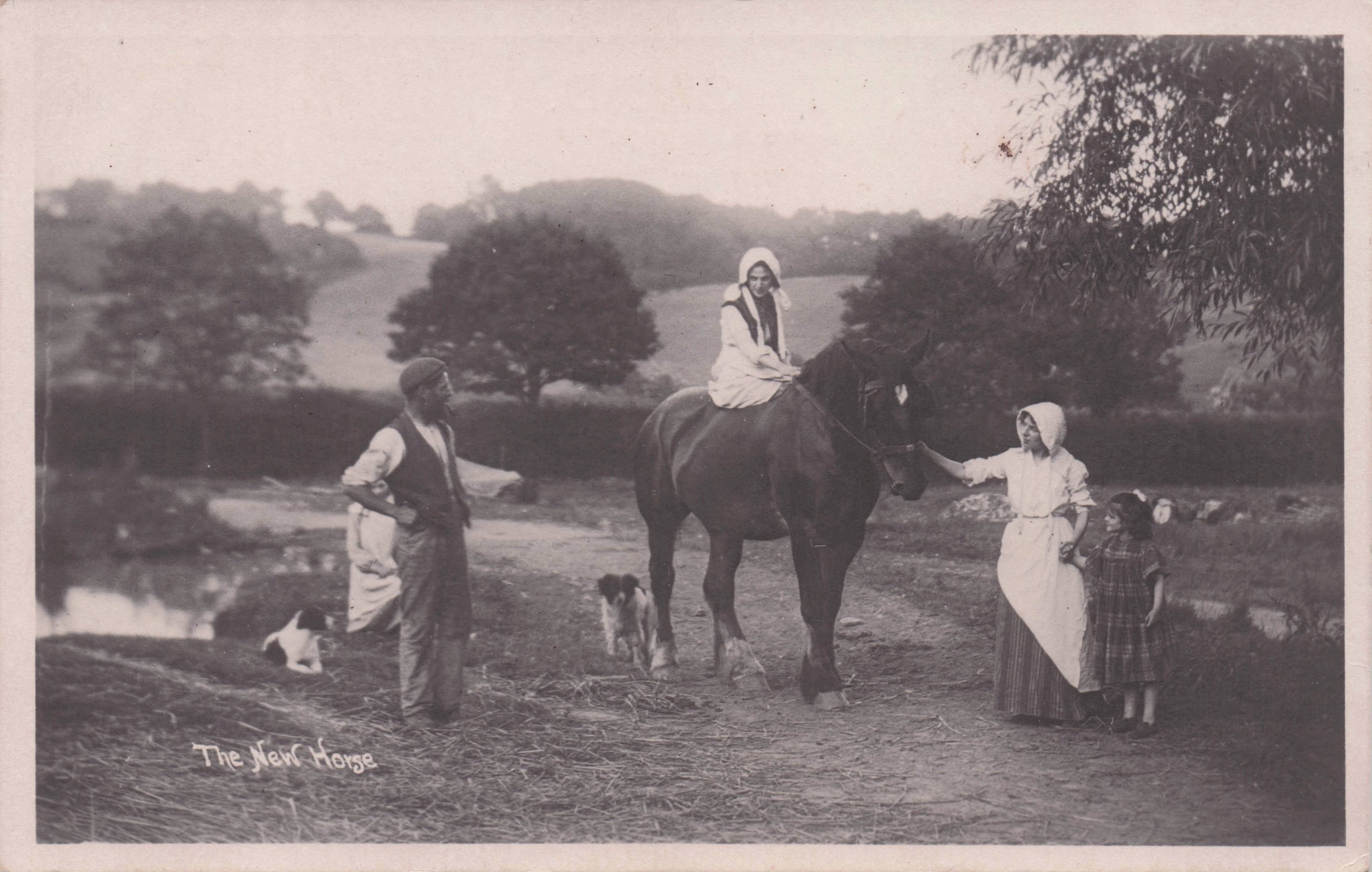 Shepherd Fashion Ladies With New Horse Staffordshire Antique Postcard