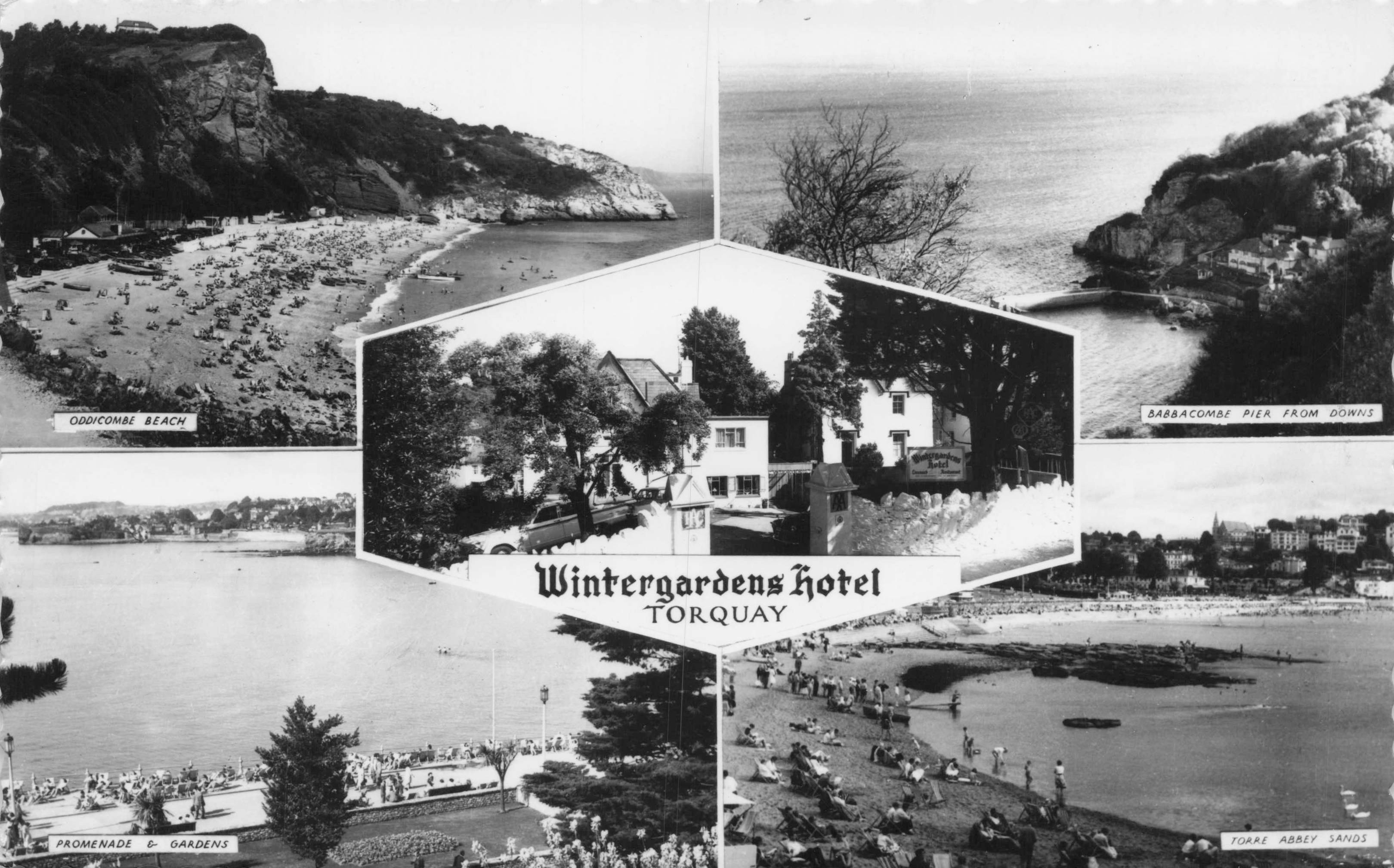 Wintergardens Hotel Torquay Real Photo Vintage Postcard