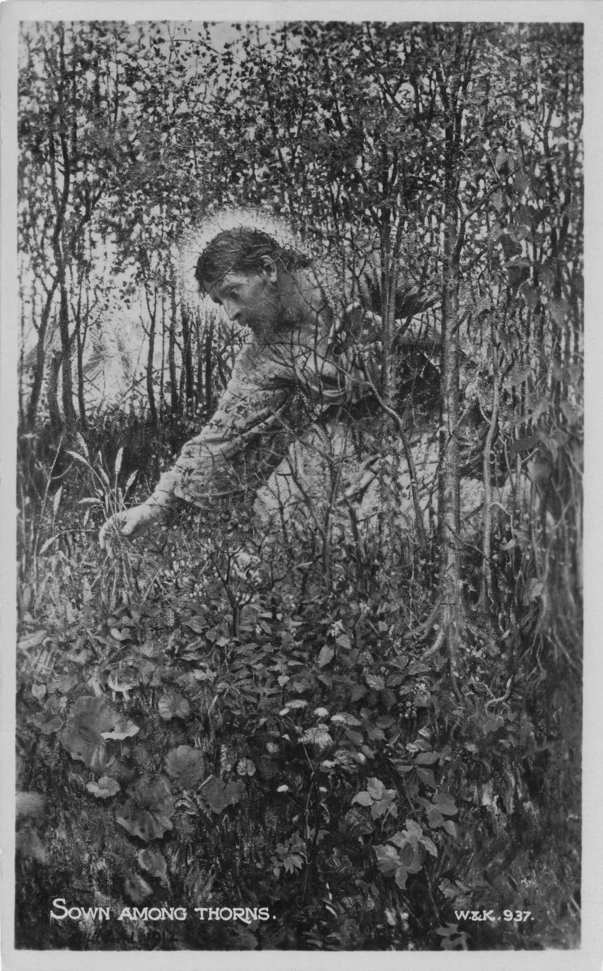 Sown Among Thorns Christ Valentines Religious Old Photo Postcard