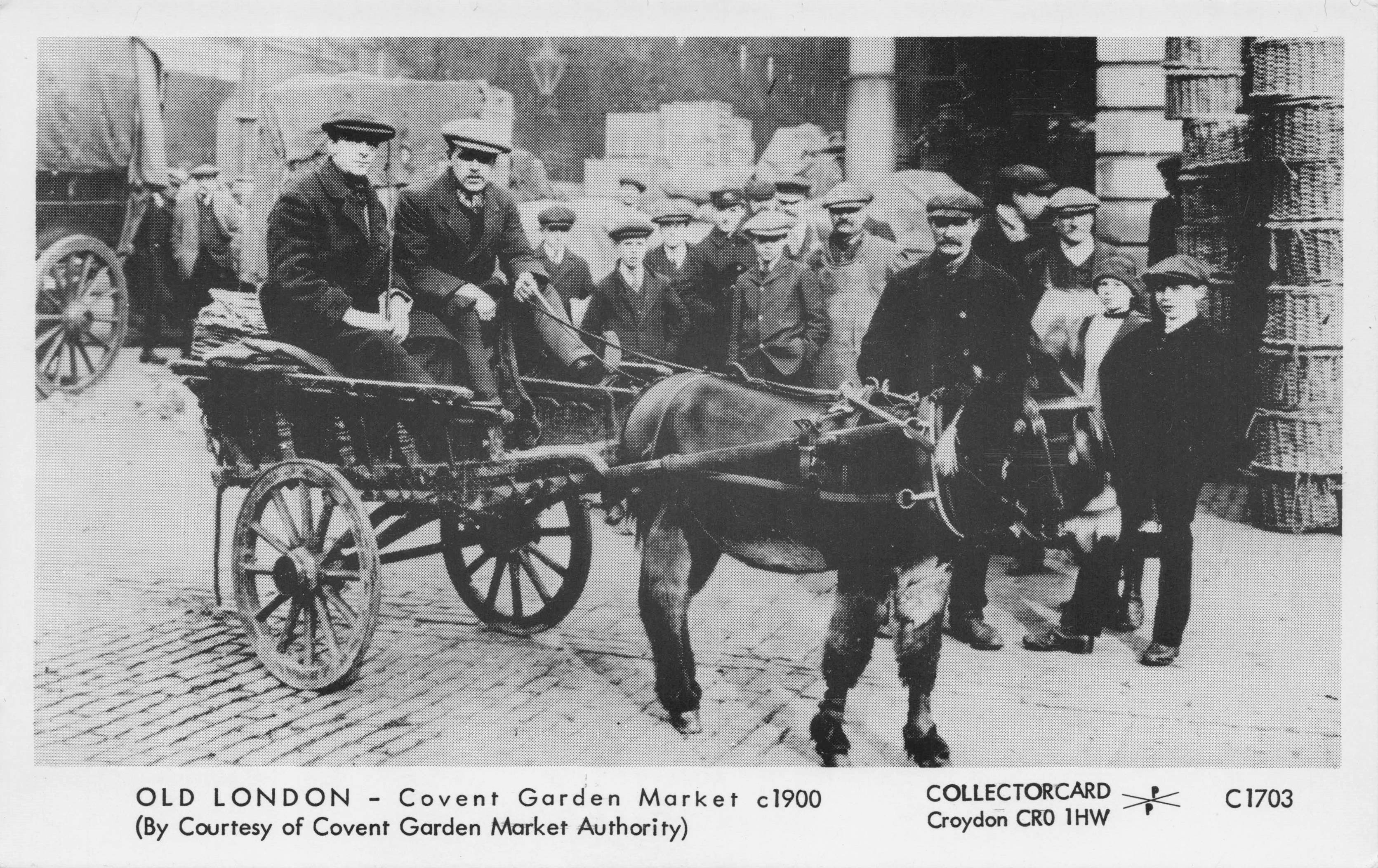 Horse Transport in Post Victorian Covent Garden Markets London Postcard