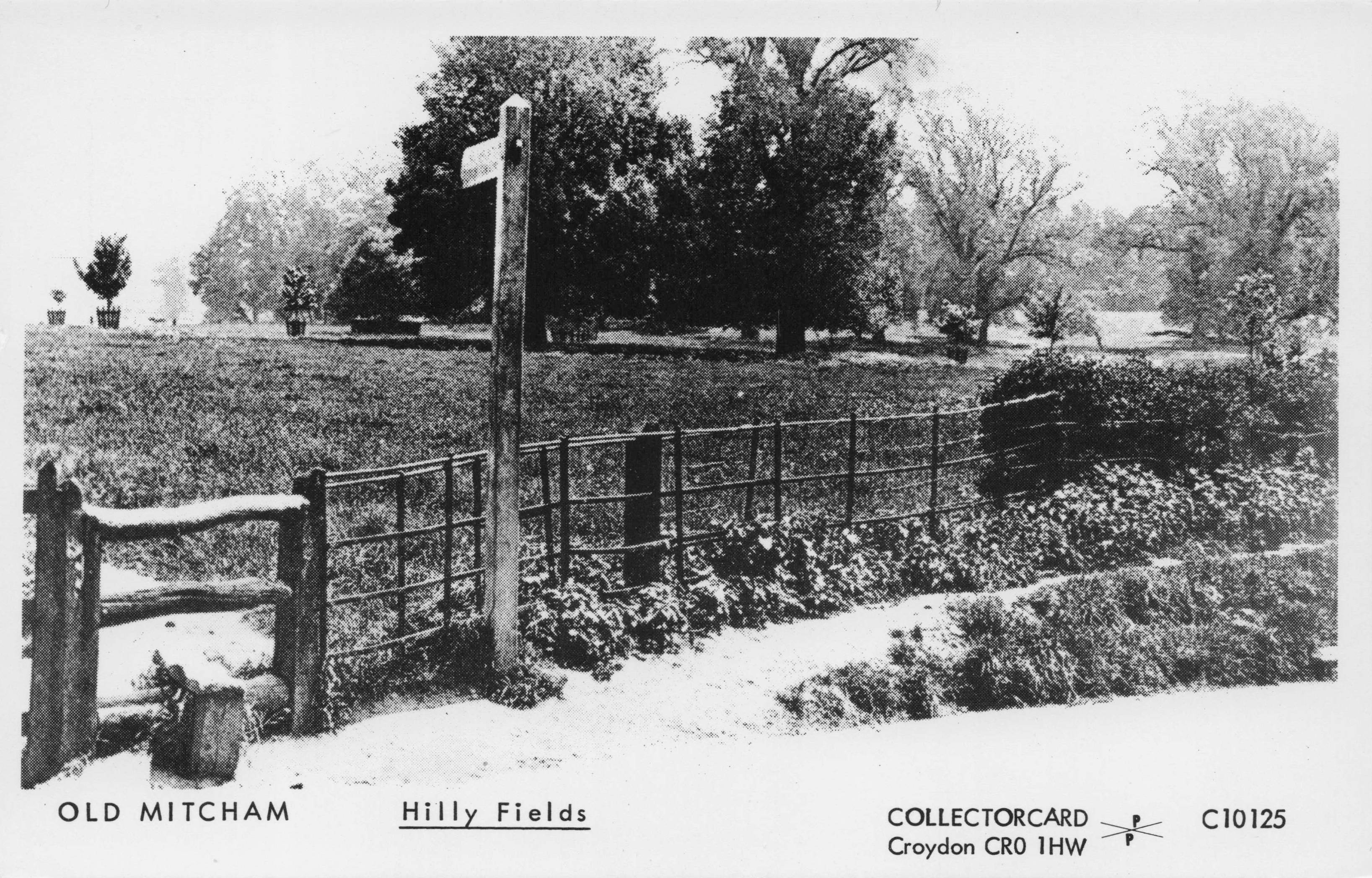 Old Mitcham Rural Hilly Fields Surrey Signpost Vintage Photo Postcard