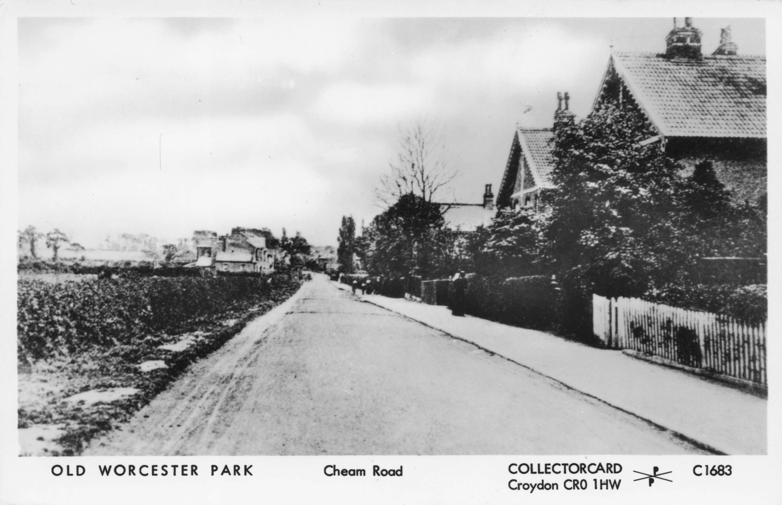 Cheam Road Old Worcester Park Cottages Lane Photo Postcard
