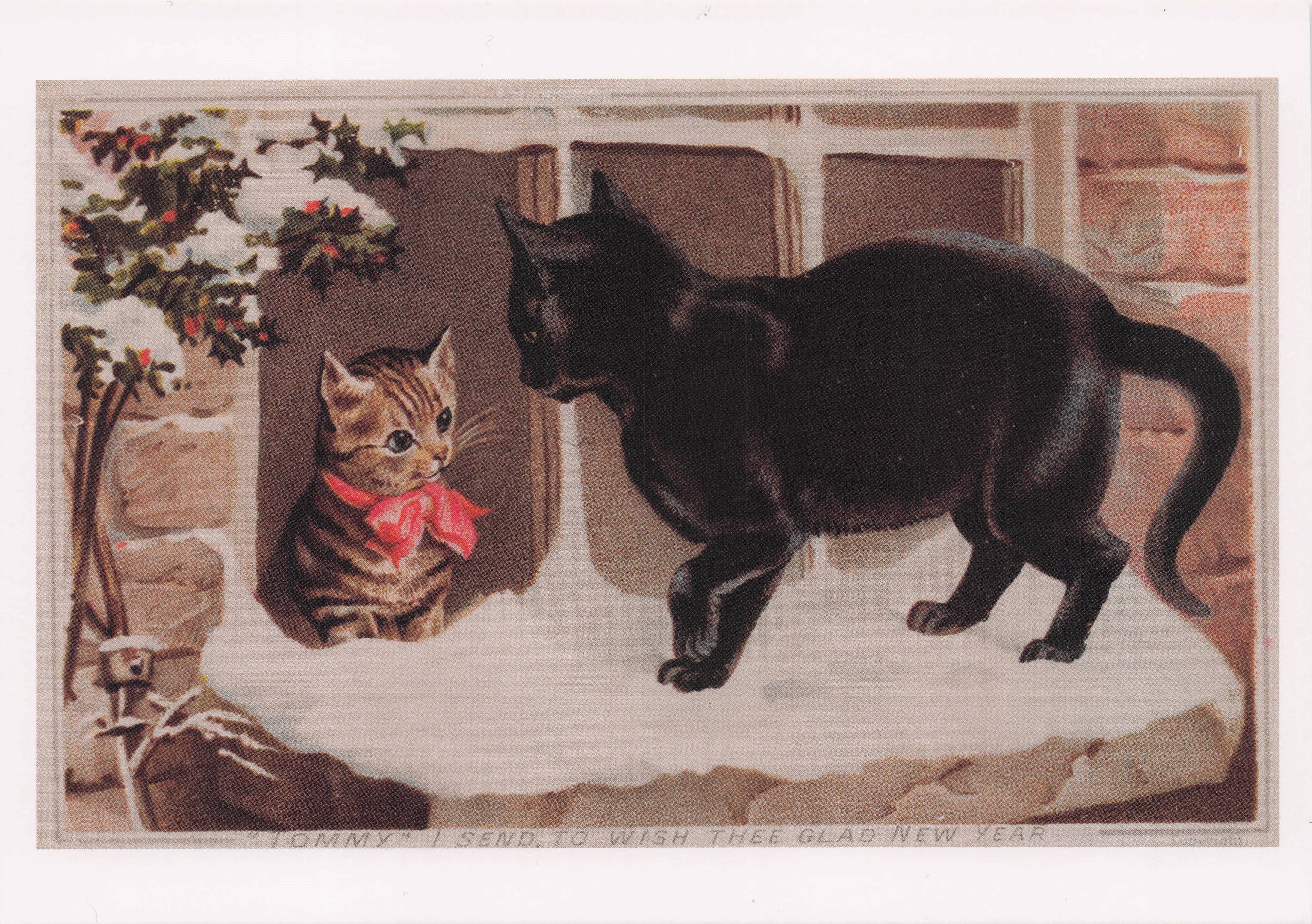 Tortoiseshell Kitten & Black Cat Christmas Snow Window Victorian Painting Postcard