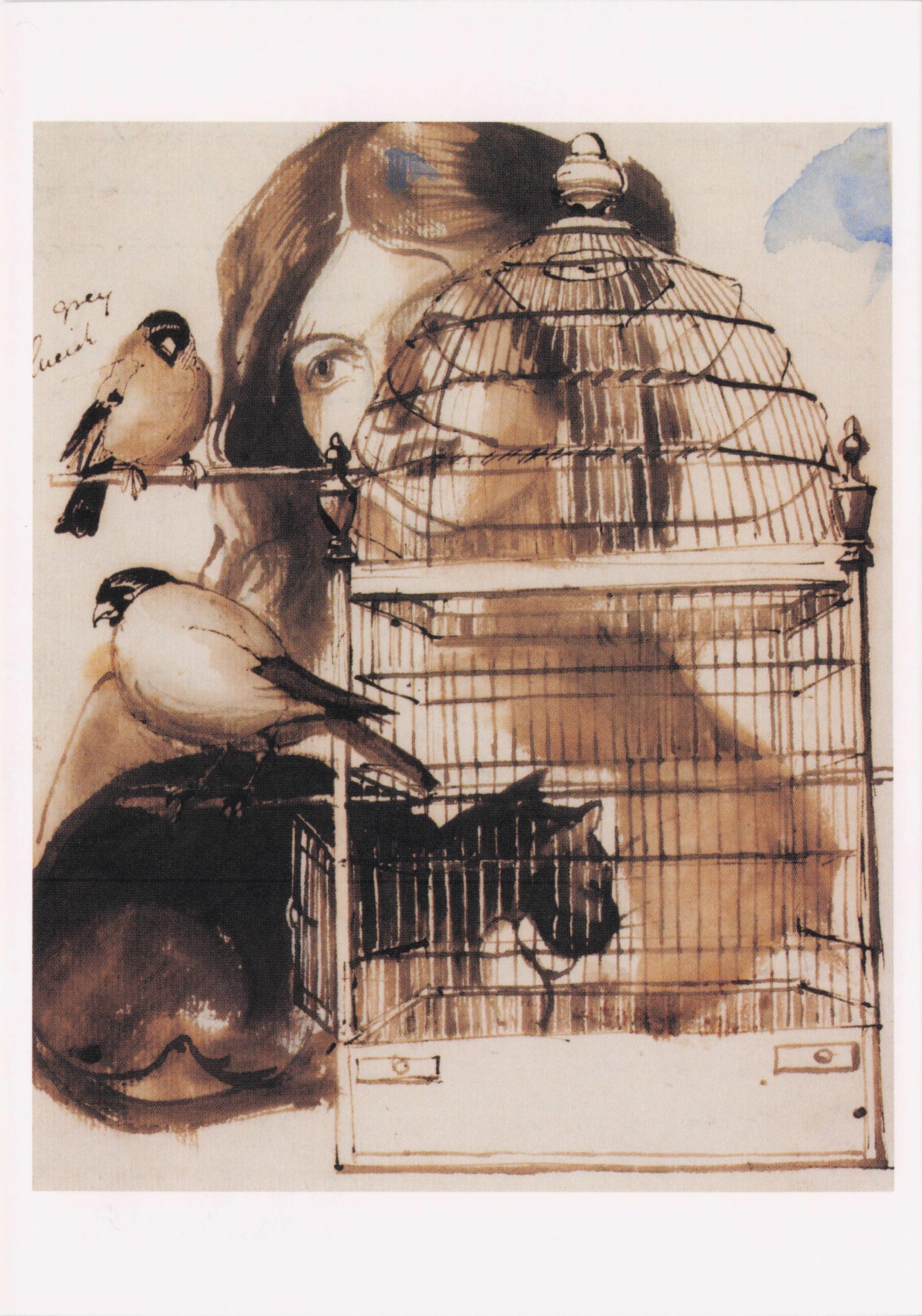 Daniel Maclise Woman & Bird Cage Black Cat Old Irish Victorian Painting Postcard