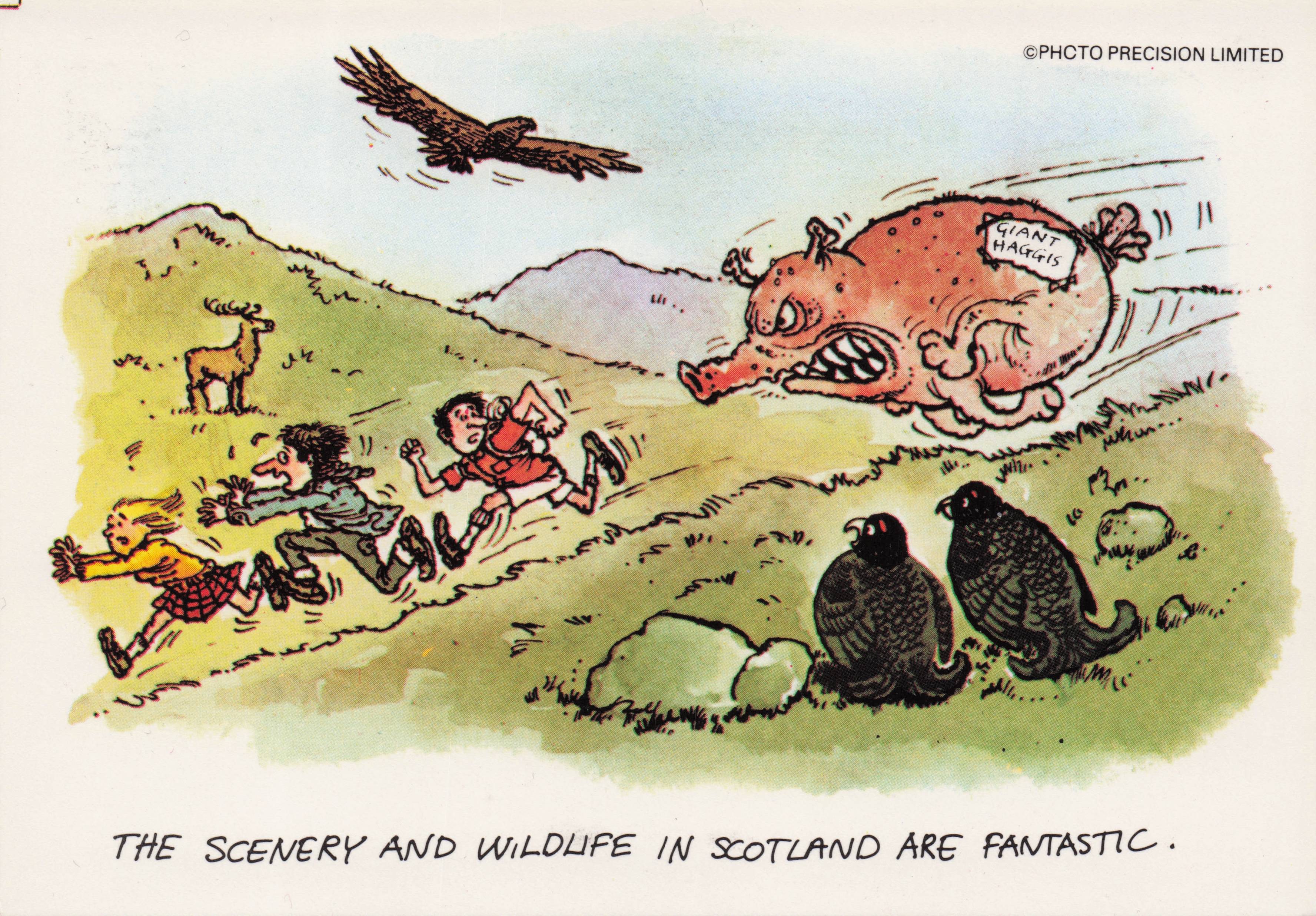 Crazy Mad Giant Haggis Animal vs Scottish Scotland Tourist Comic Postcard