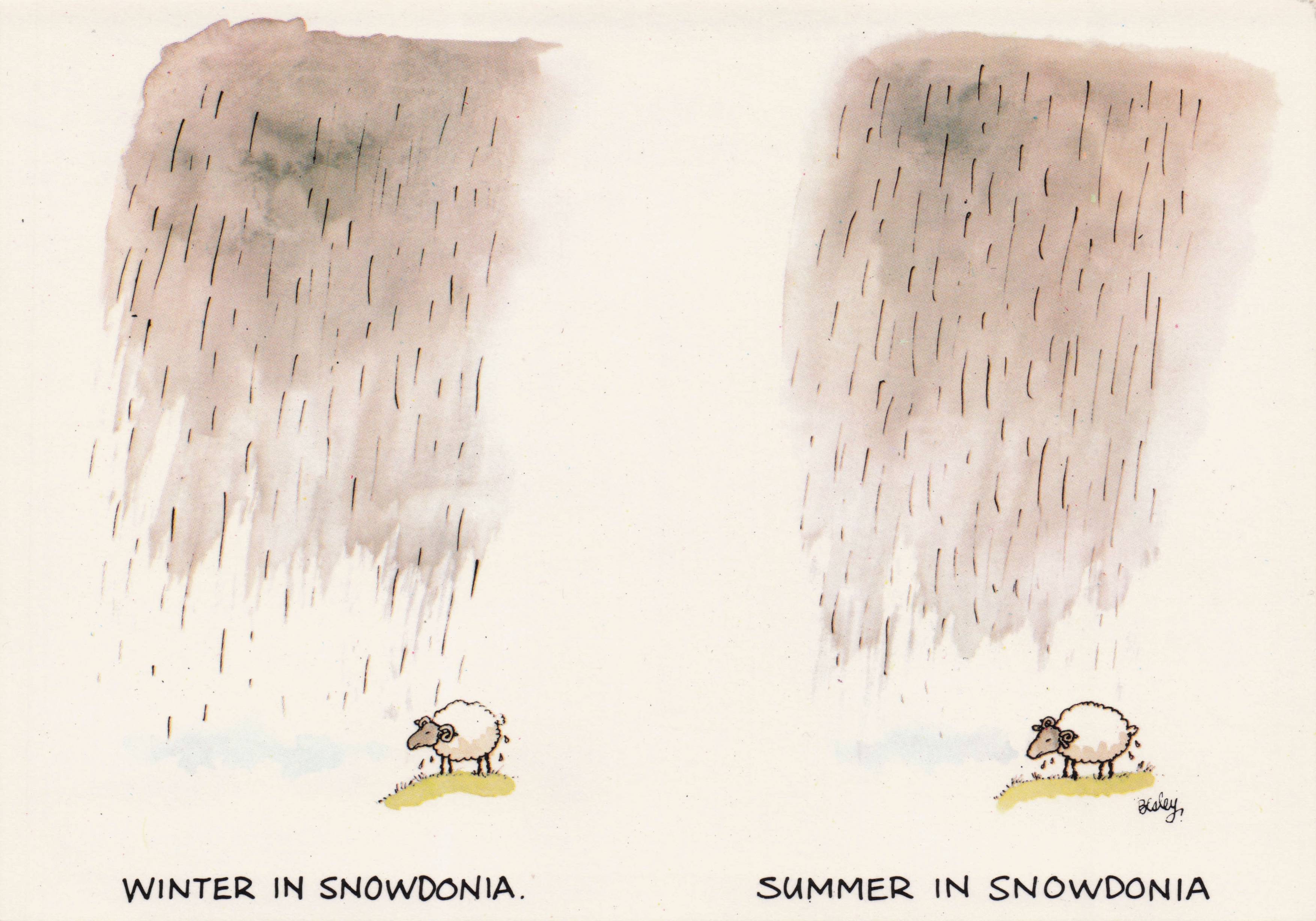 Winter In Snowdonia Wales Disaster Weather Farm Sheep Welsh Comic Postcard