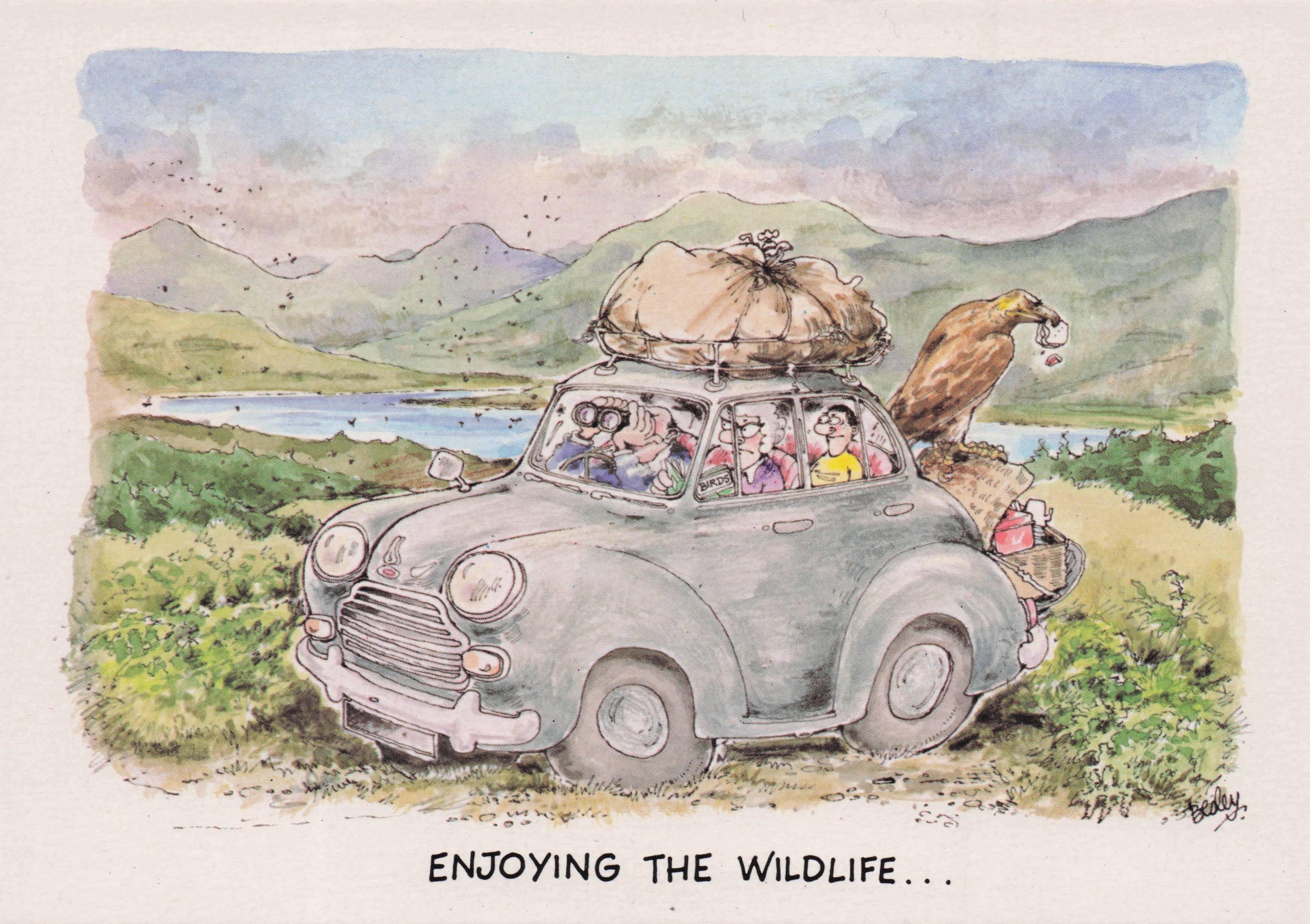 Disaster Overcrowded Car Baggage Holiday Camping Birds Wildlife Comic Postcard