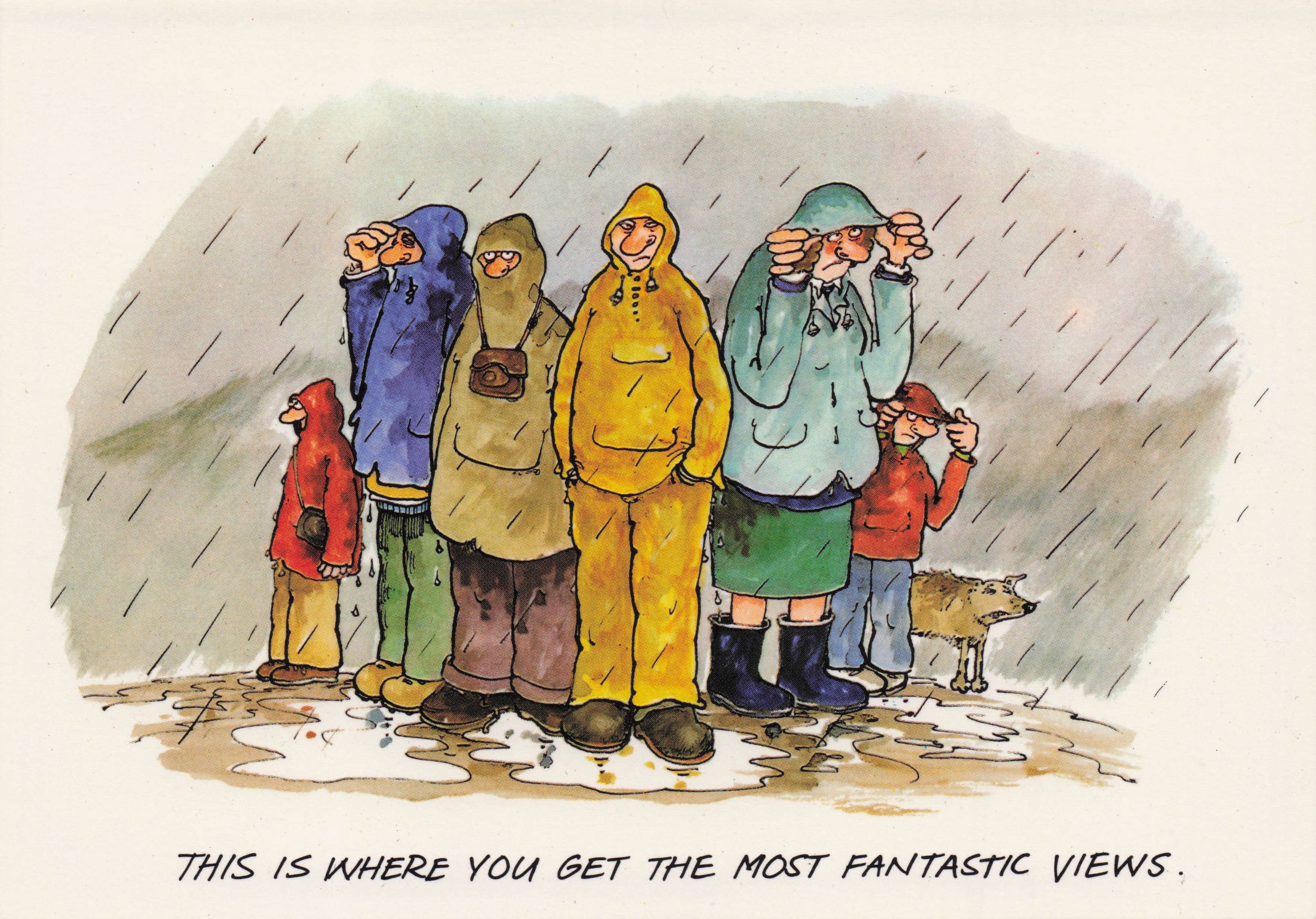 Disaster Holiday Weather Rain Storms Anorak Dog Soaked Comic Postcard