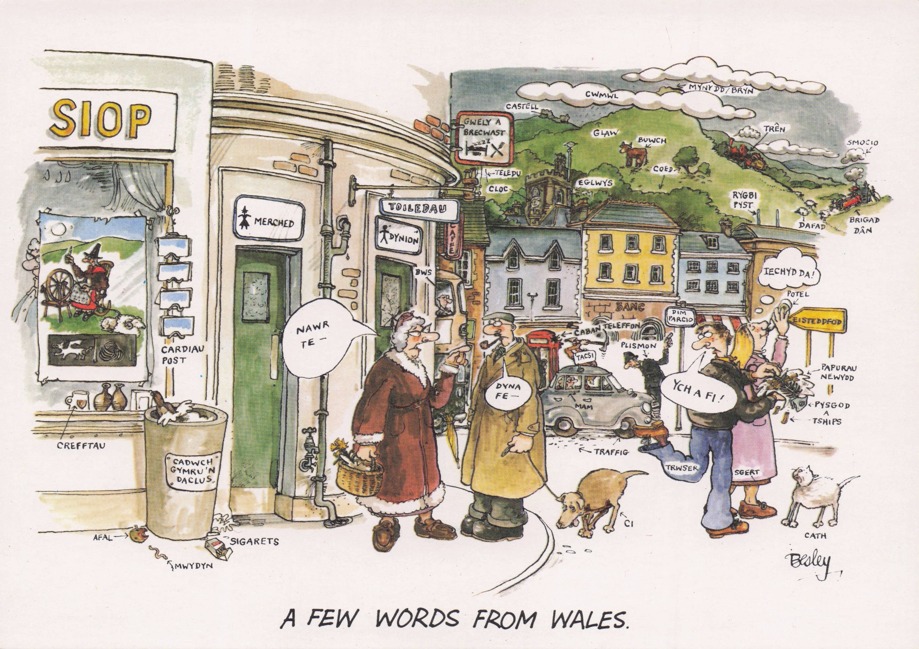 Welsh Public Toilets WC Shopping Centre Disaster Holiday Wales Comic Postcard