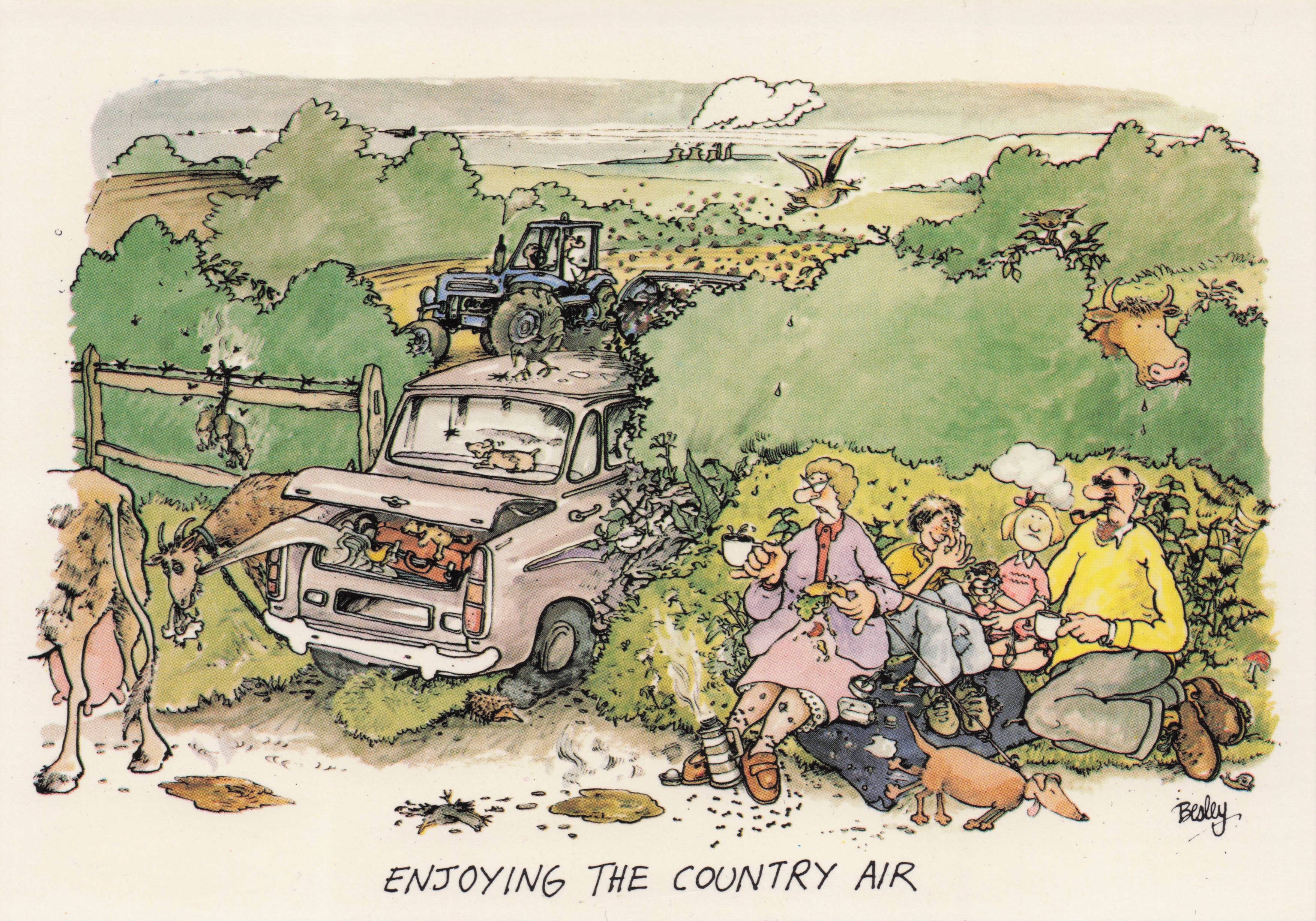 Car Crash Into Country Farm Gate Transport Disaster Holiday Comic Postcard