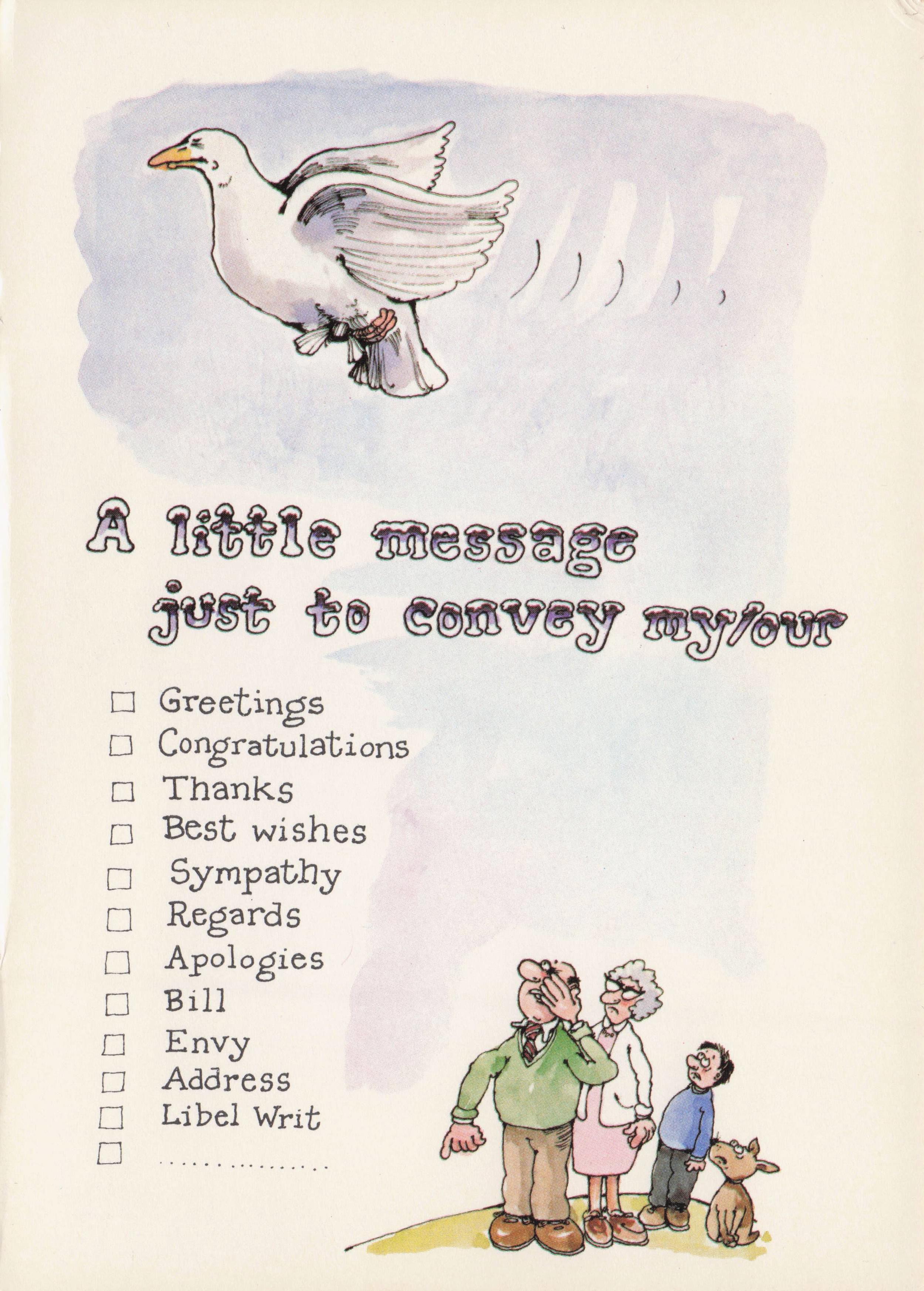 Message With Pigeon Seagull Bird Seaside Comic Holiday Postcard