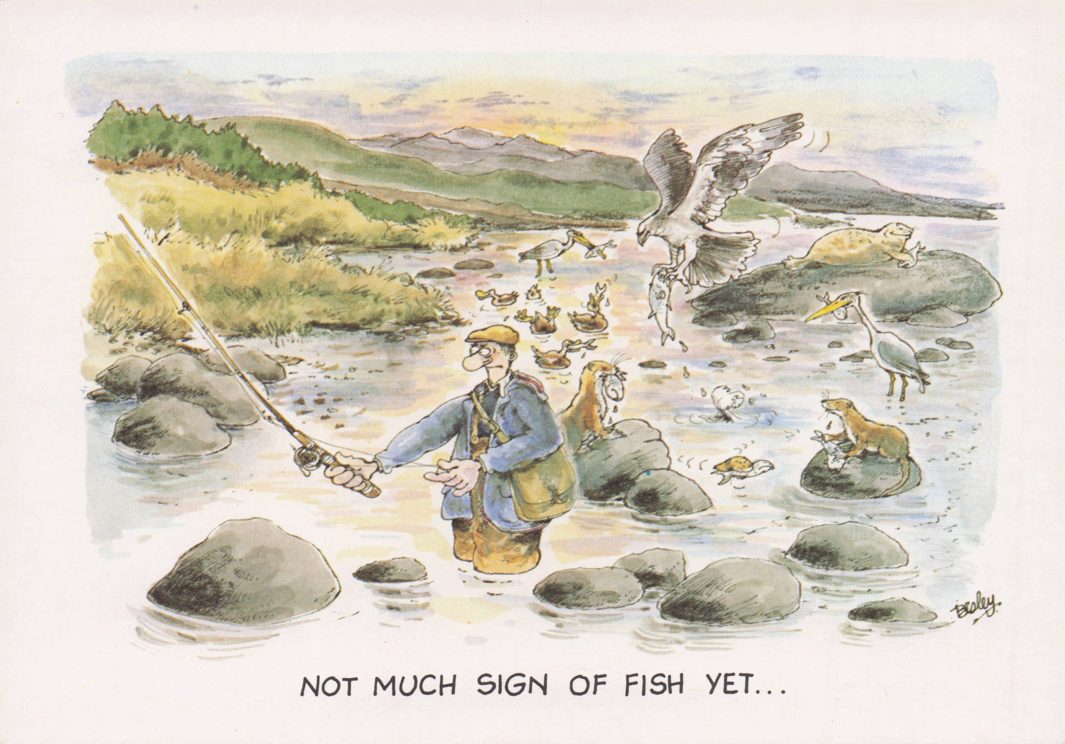 Fishing No Sign Of Catching Fish Disaster Fisherman Comic Postcard