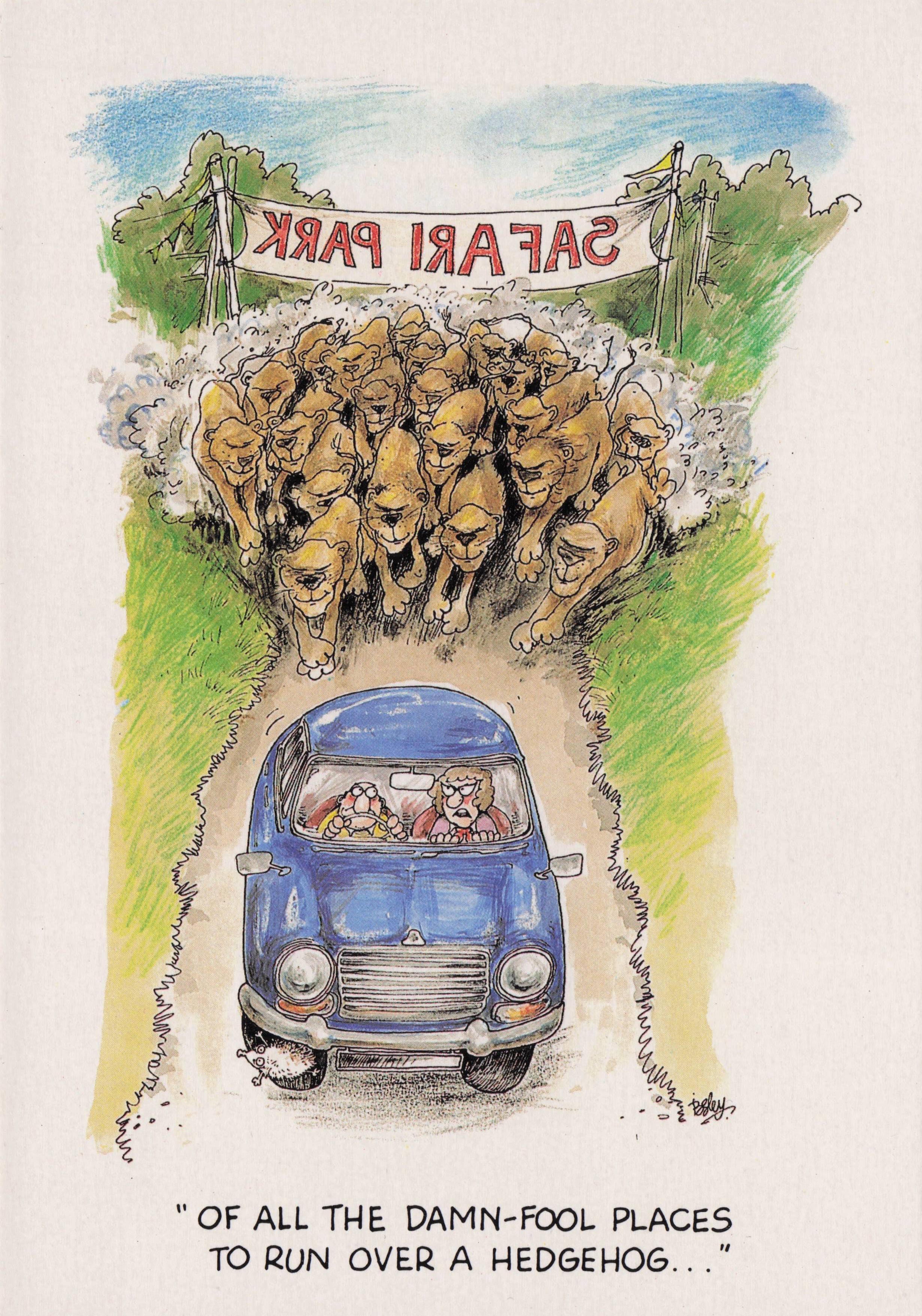 Safari Park Zoo Angry Animals Lions Hedgehog Running Over Car Comic Postcard
