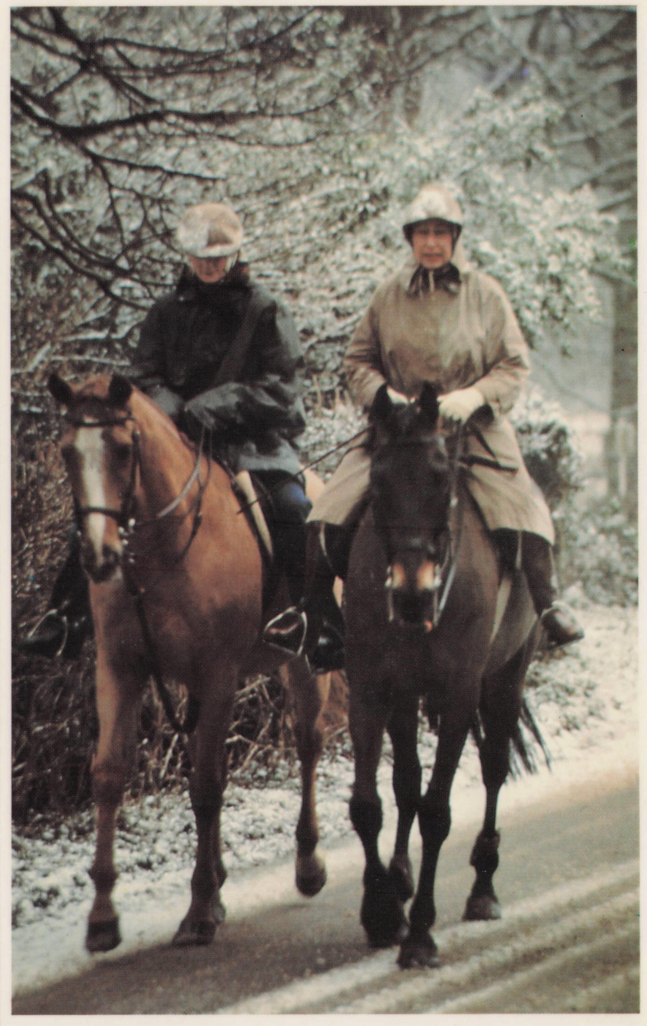 Winter Horse Riding Snow Scene Windsor Queen Elizabeth II Rare Postcard
