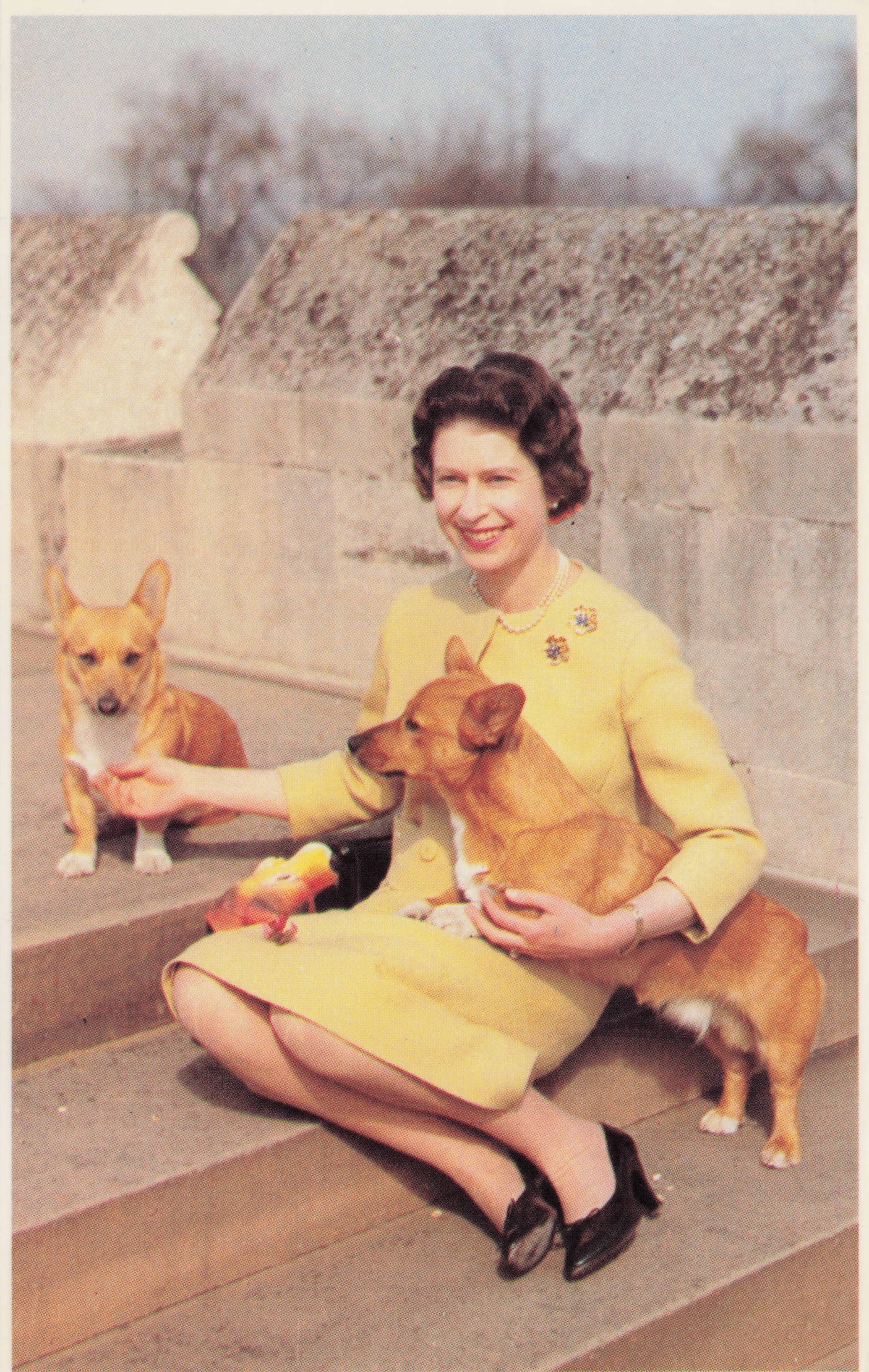 Windsor Castle Home Park Queen Elizabeth II & Corgi Dogs Pets Rare Postcard