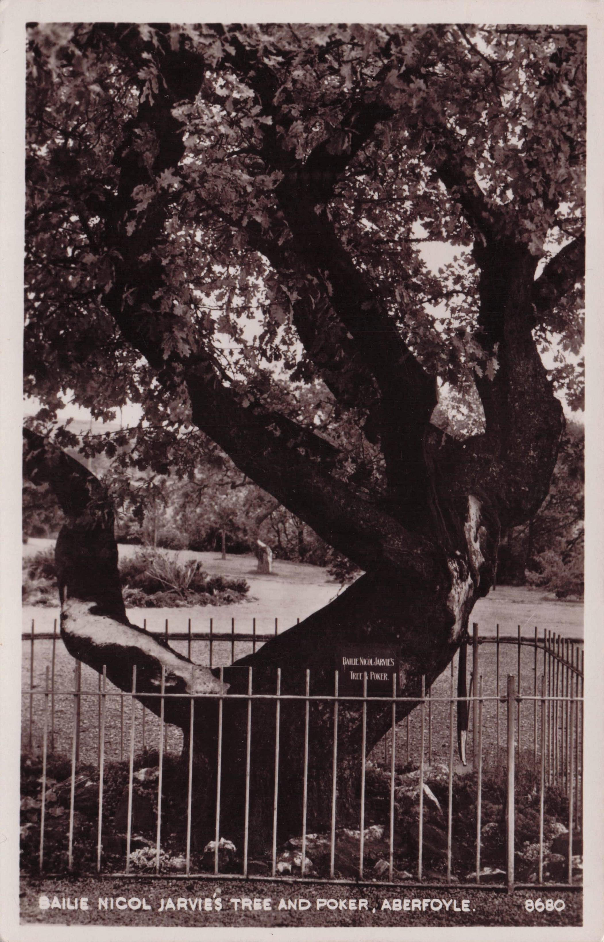 Bailie Nicol Jarvie's Tree & Poker Aberfoyle Stirling Scotland Real Photo Postcard
