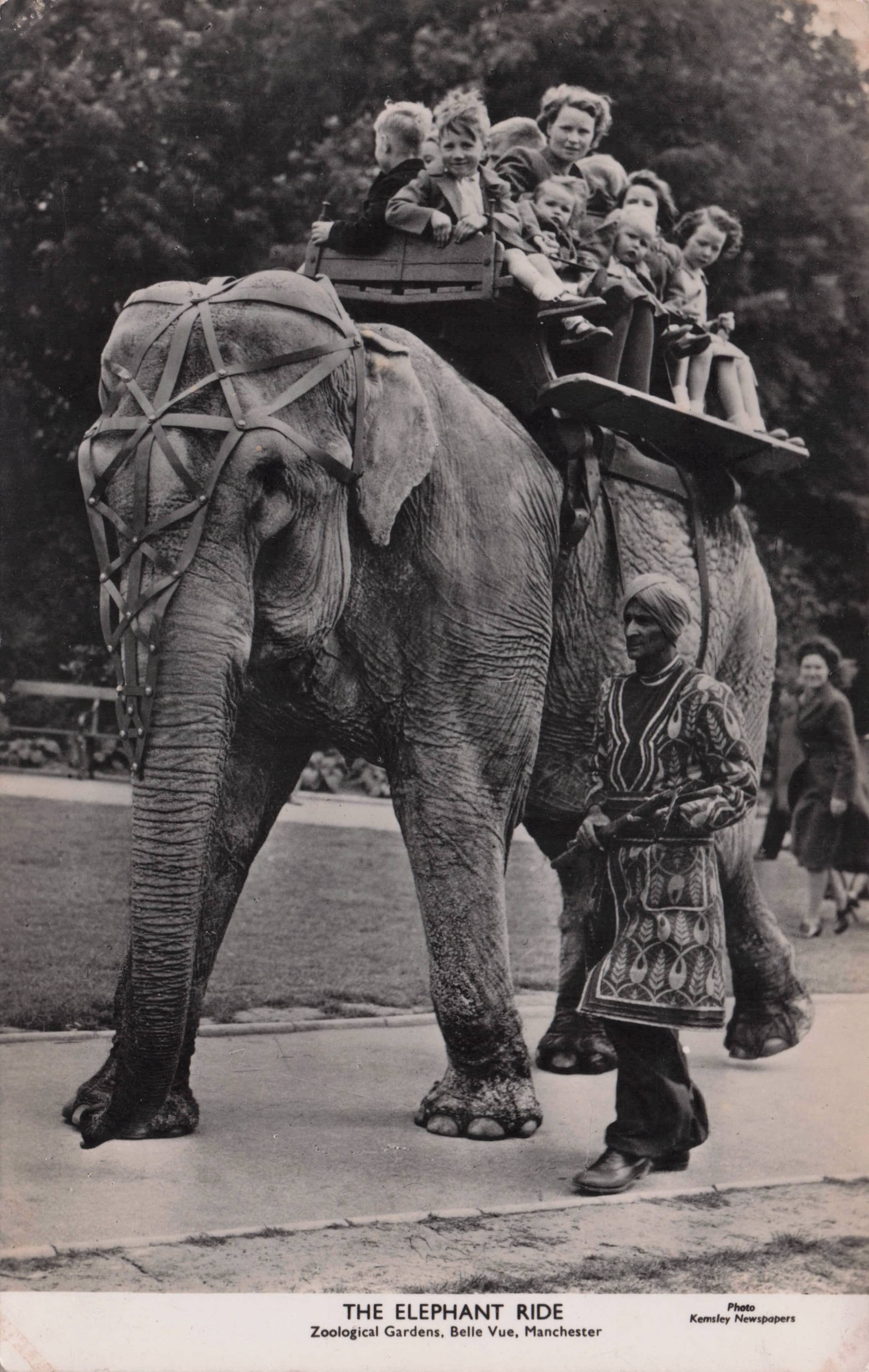 Belle Vue Elephant Ride Manchester Zoo Antique Real Photo Postcard