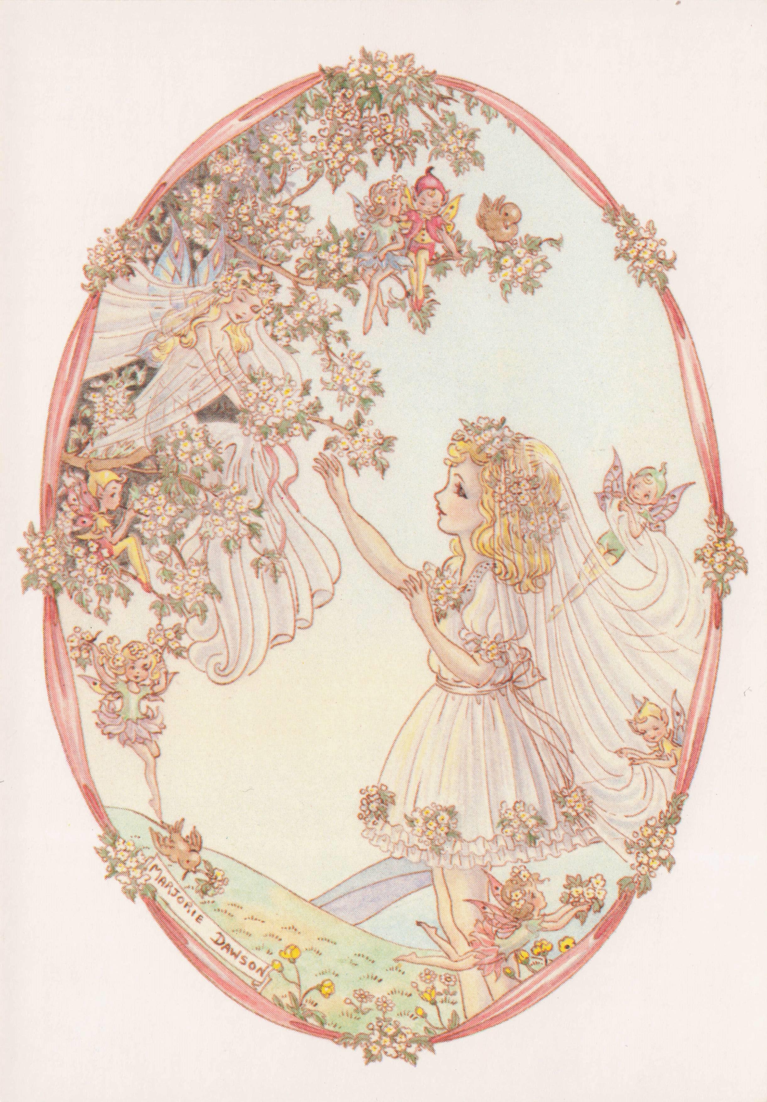 Flower Blossom Fairy World Collection Marjorie Dawson Rare Fairies Postcard