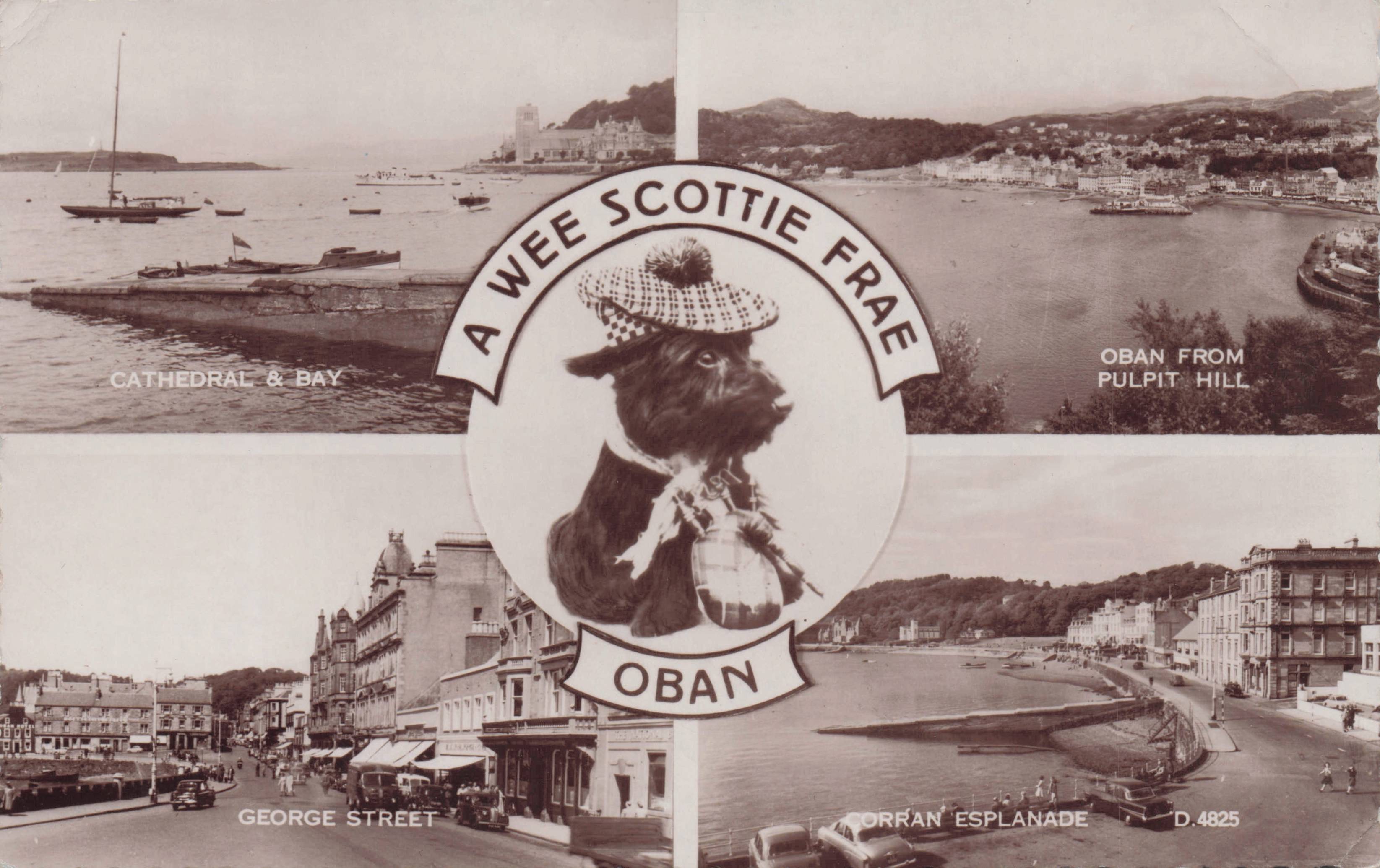 Wee Scottie Frae Dog Oban Scotland Hat Shops Real Photo Vintage Postcard