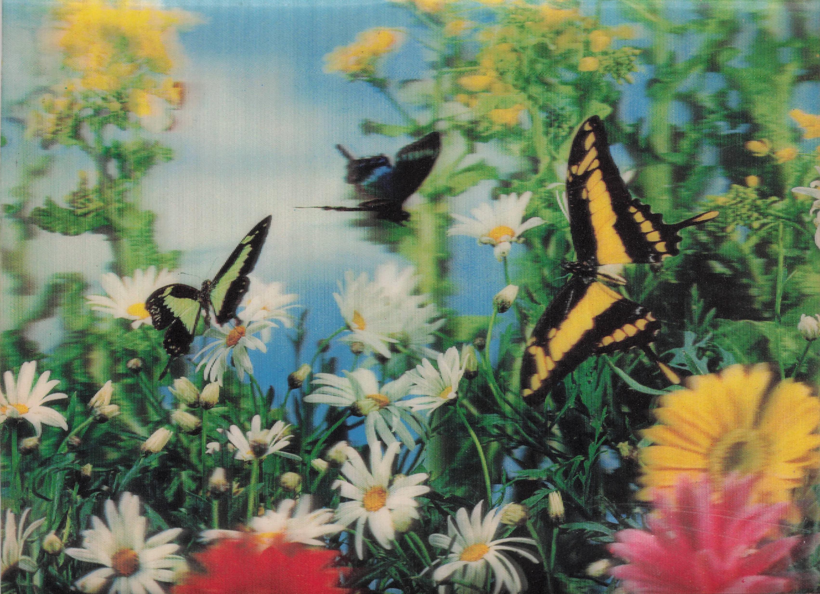 Butterflies In Flowers Beautiful Vintage 1970s Three Dimensional 3D Postcard