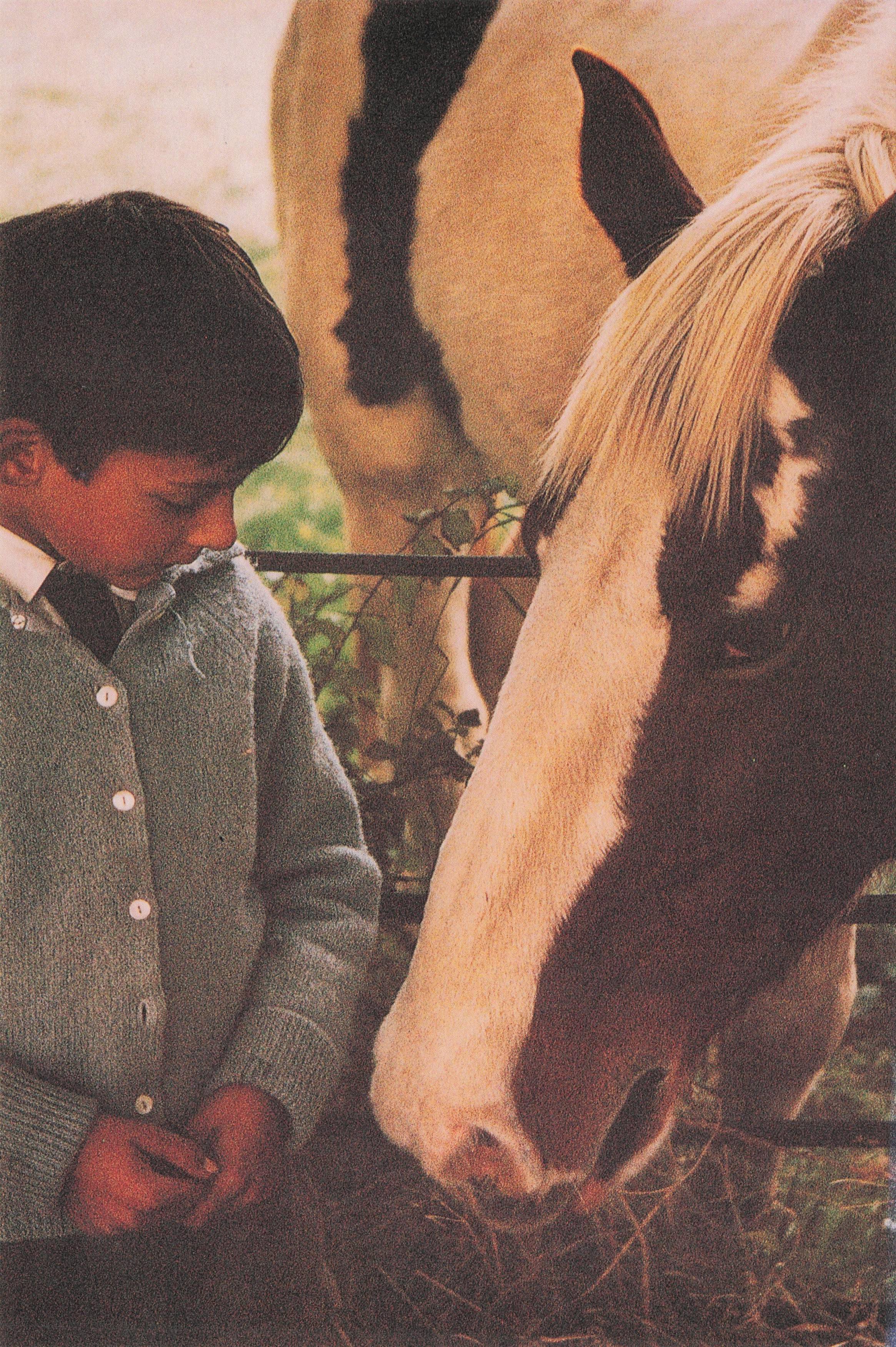 Prince Philip With His Pet Horse Royal Family Postcard