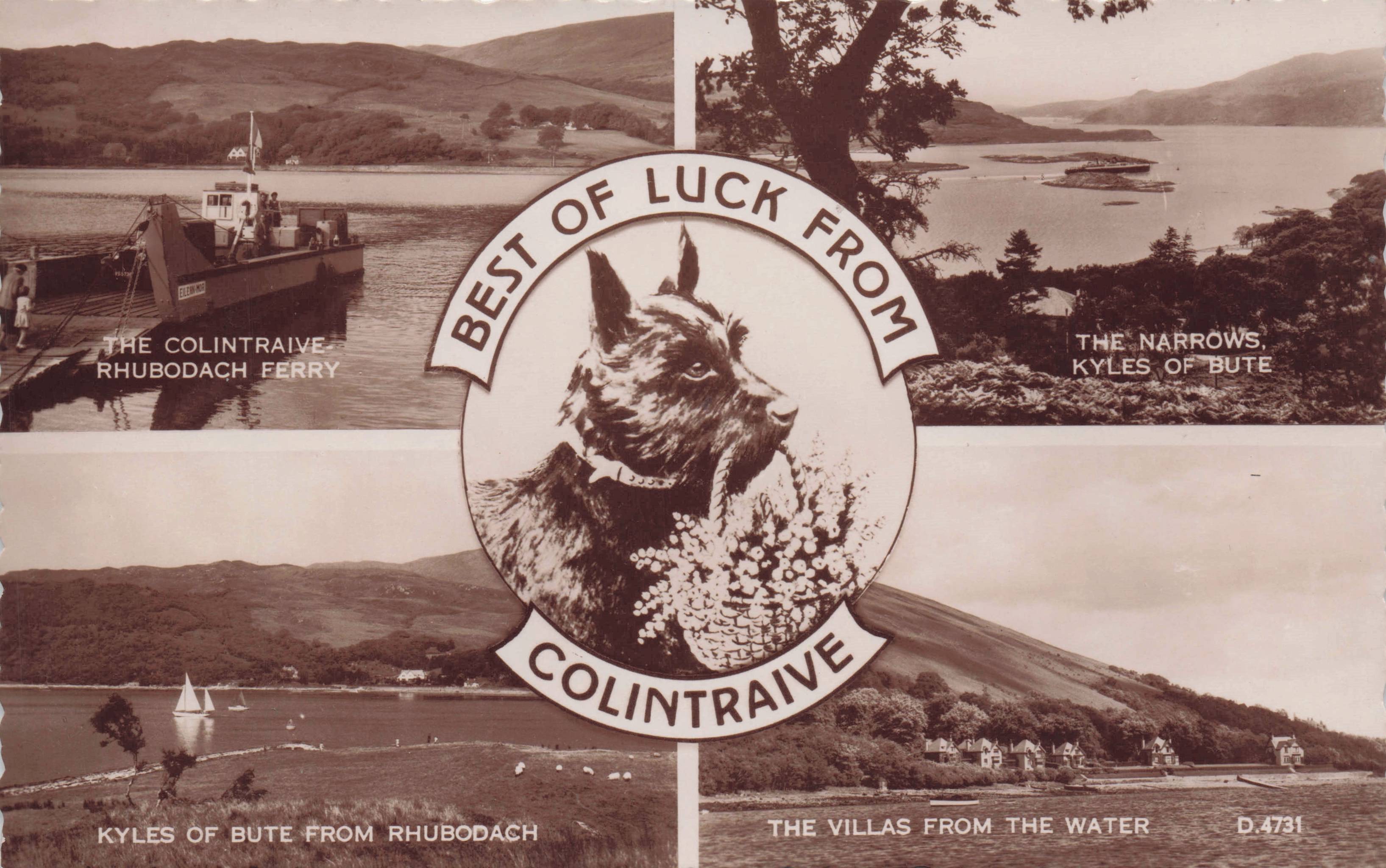 Best Of Luck From Colintraive Dog Ferry Ship Boat Scottish Rare Real Photo Postcard