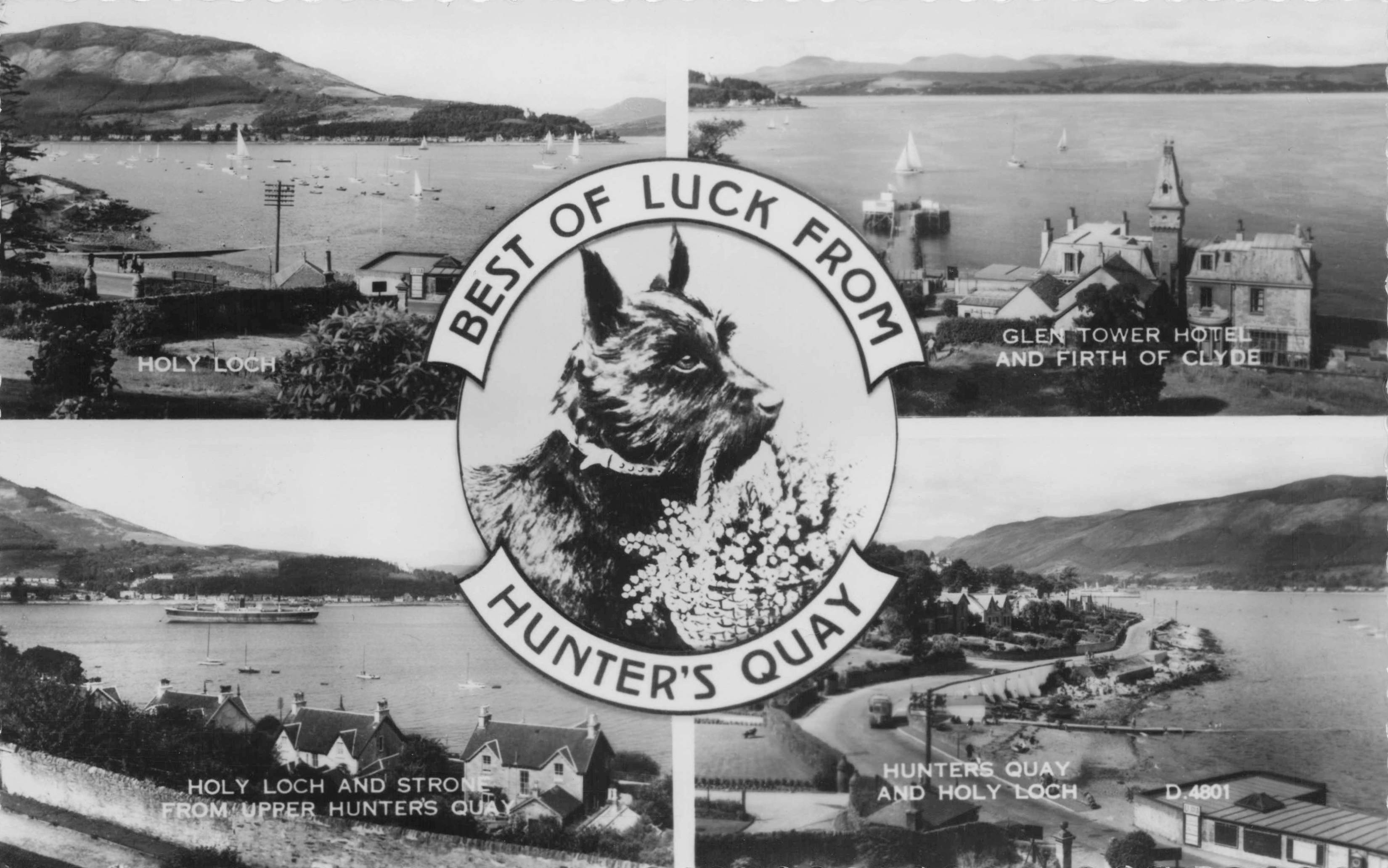 Best of Luck From Hunters Quay Scotland Alsation Dog Holy Loch Valentines Postcard