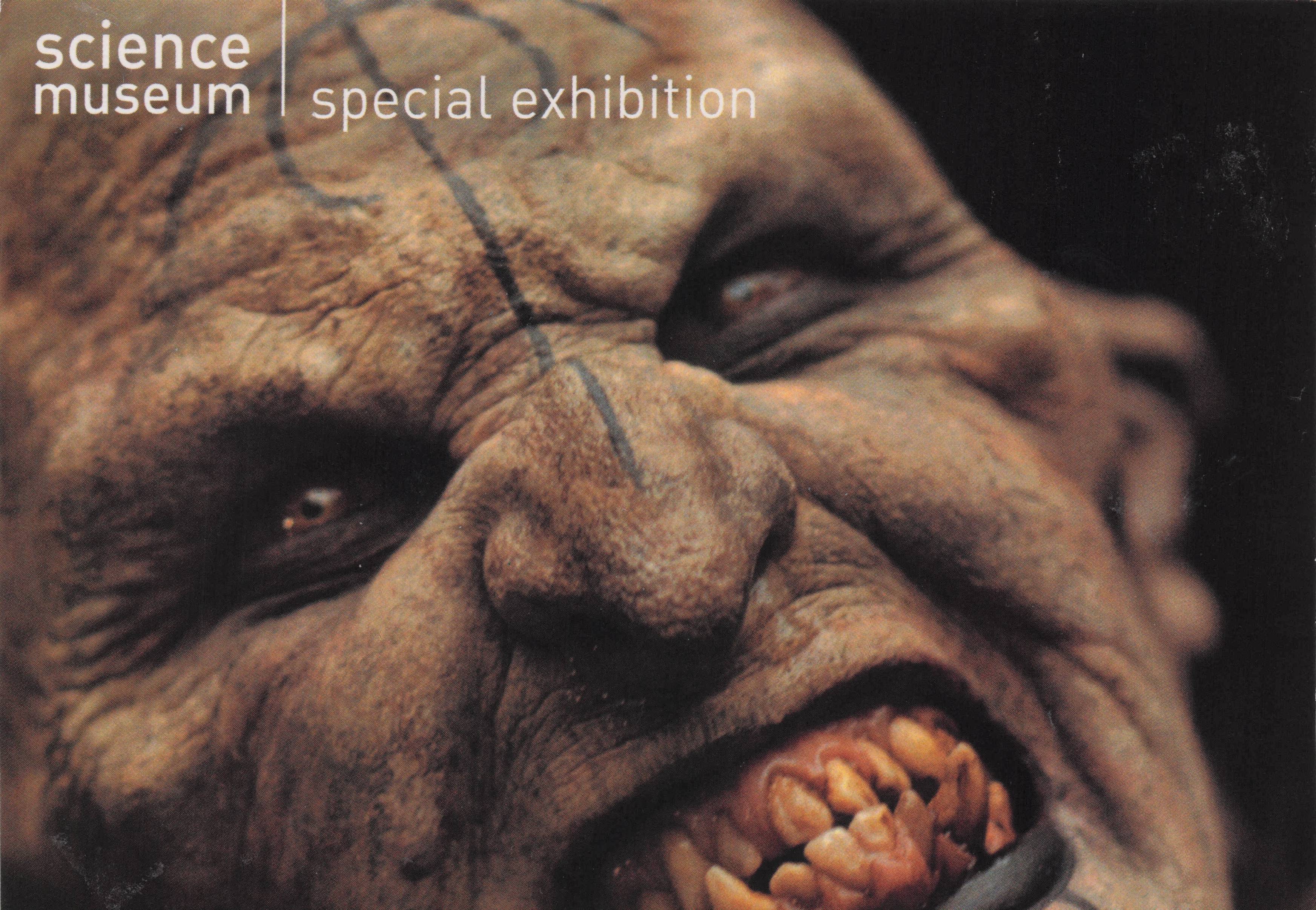 Lord Of The Rings Film Science Museum Exhibition Advertising Postcard
