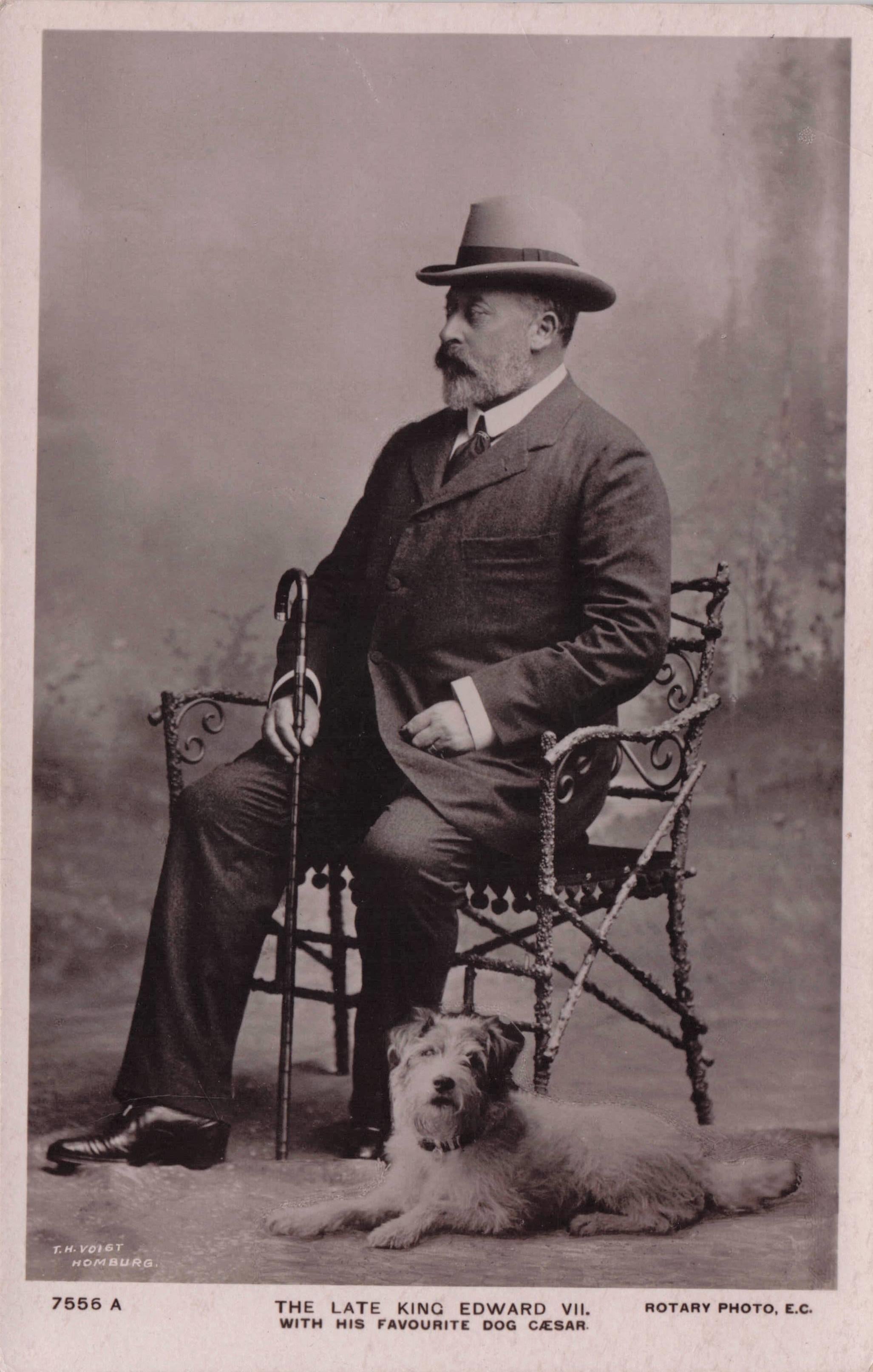 The Late King Edward VII & Dog Rotary Royal Antique Real Photo Postcard
