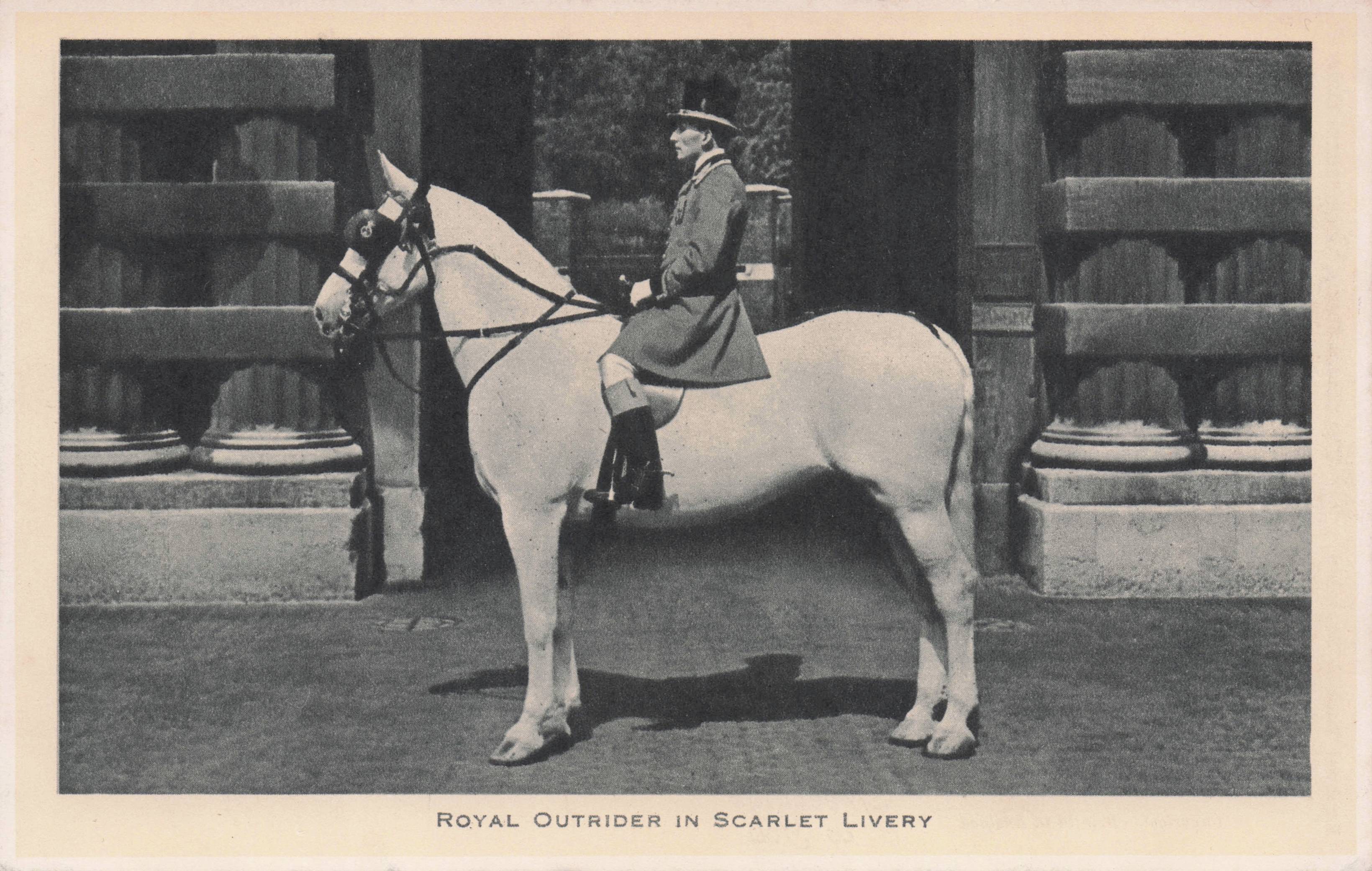 Royal Outrider In Scarlet Livery Horse Procession Transport Tucks Old Postcard