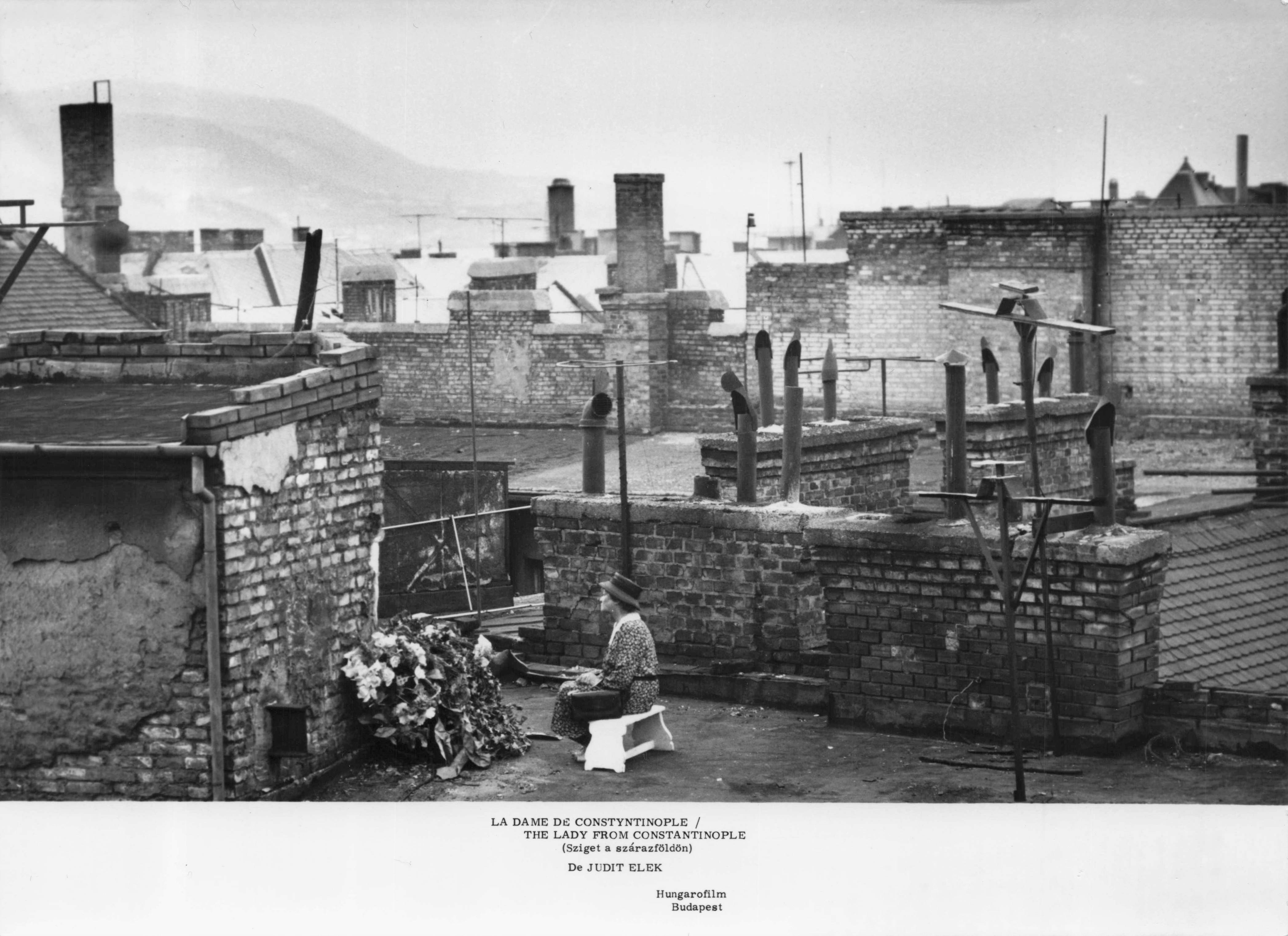 The Lady Of Constantinople Hungary Comedy Drama Film Rare Press Photo