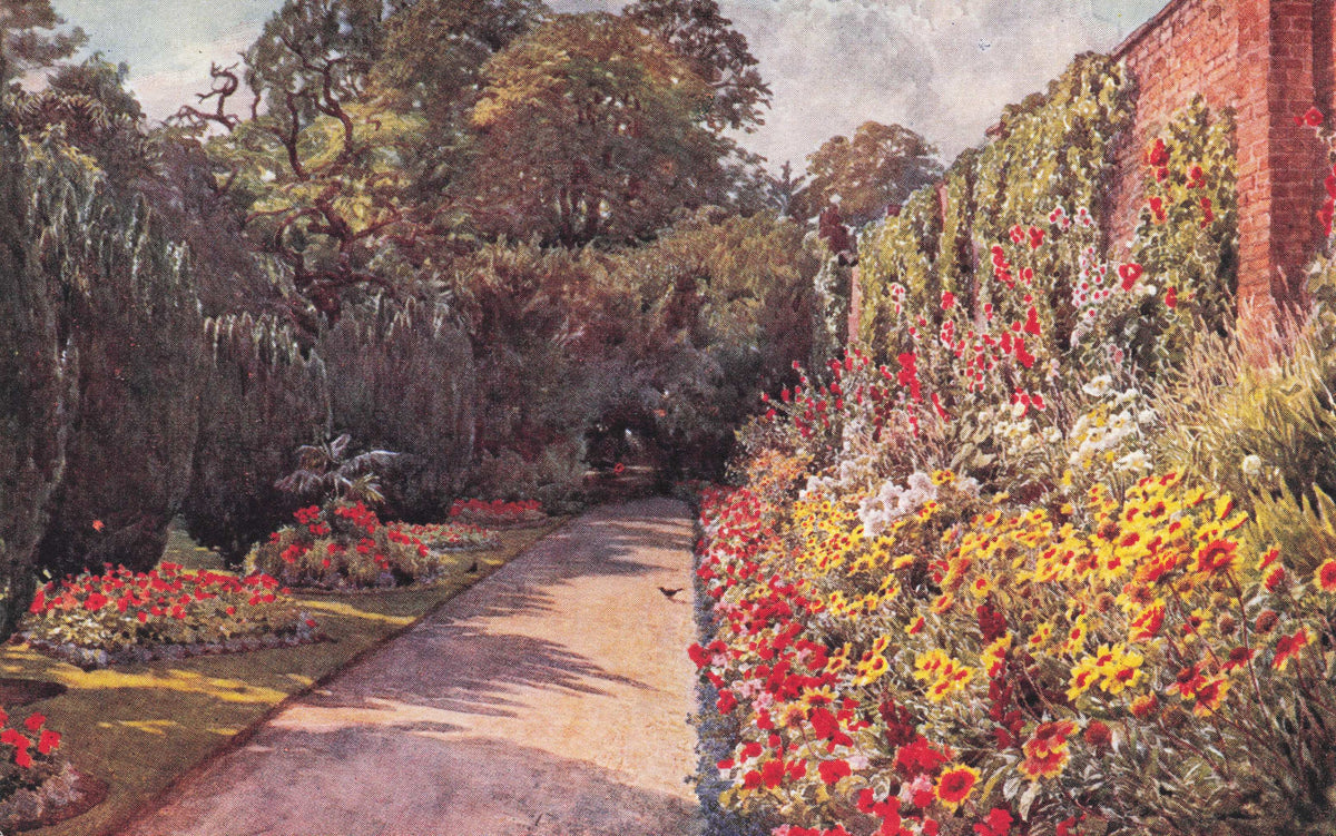 August at Hollyrood House Spalding Lincolnshire Antique Postcard