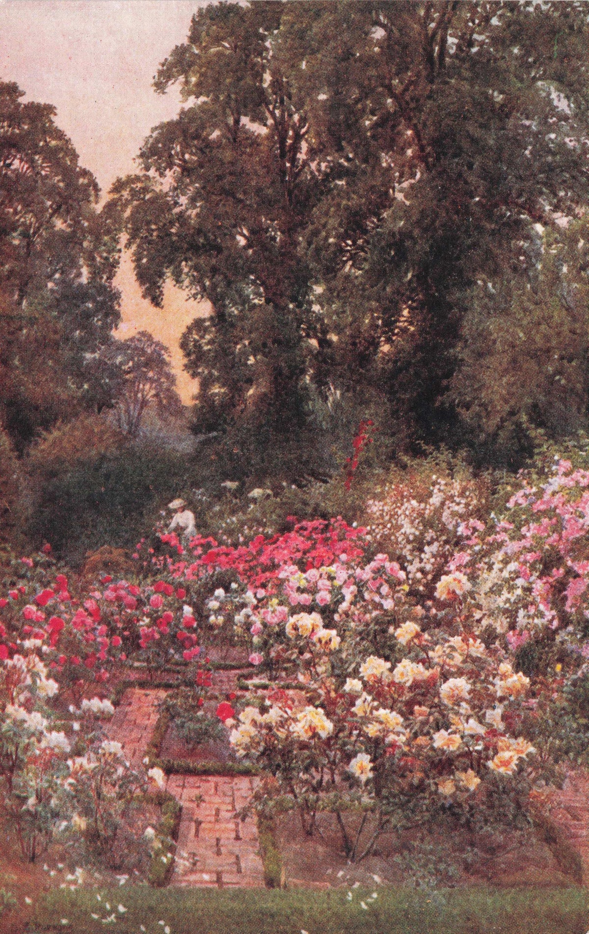 Rose Gardens Waxwell Farm Pinner Herts Georgian Farm Antique Painting Postcard