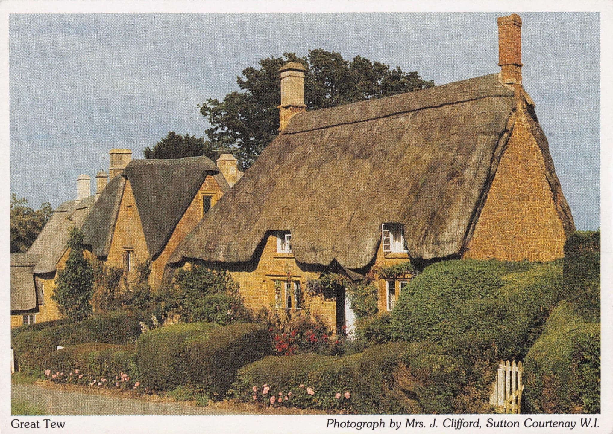 Great Tew Thatched Cottage Oxford Women's Institute Postcard