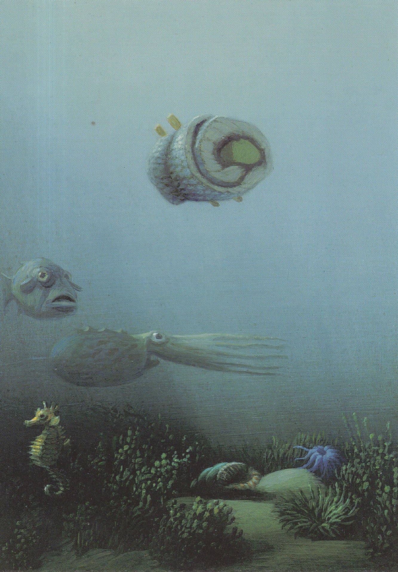Grumpy Fish Face Herring Aquarium Tank German Painting Postcard