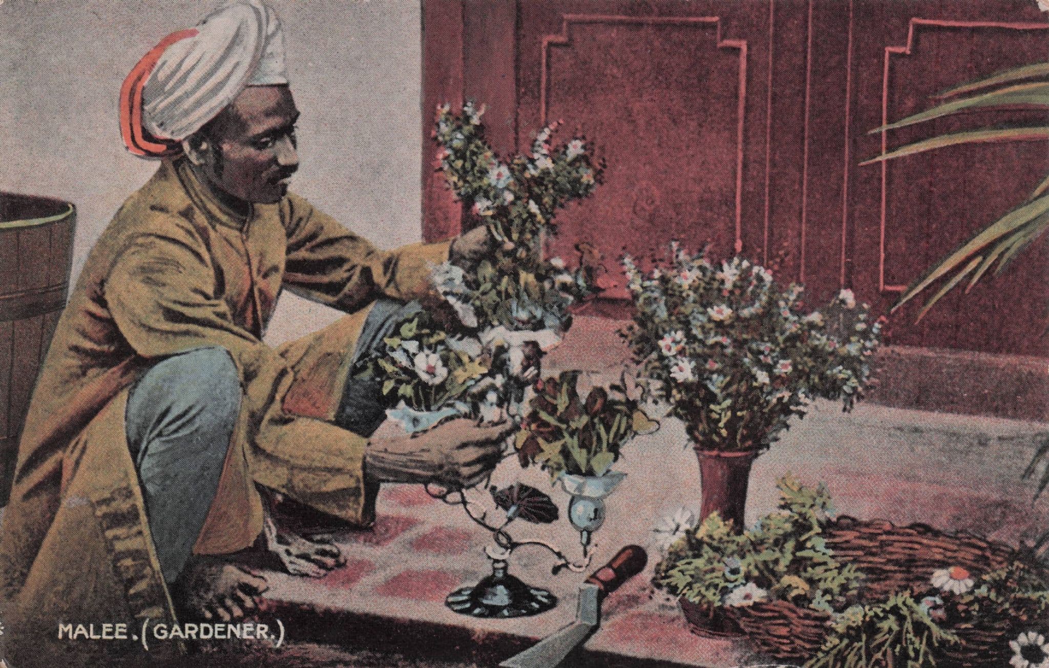Hindu Malee Gardener Antique Ambala Indian Postcard