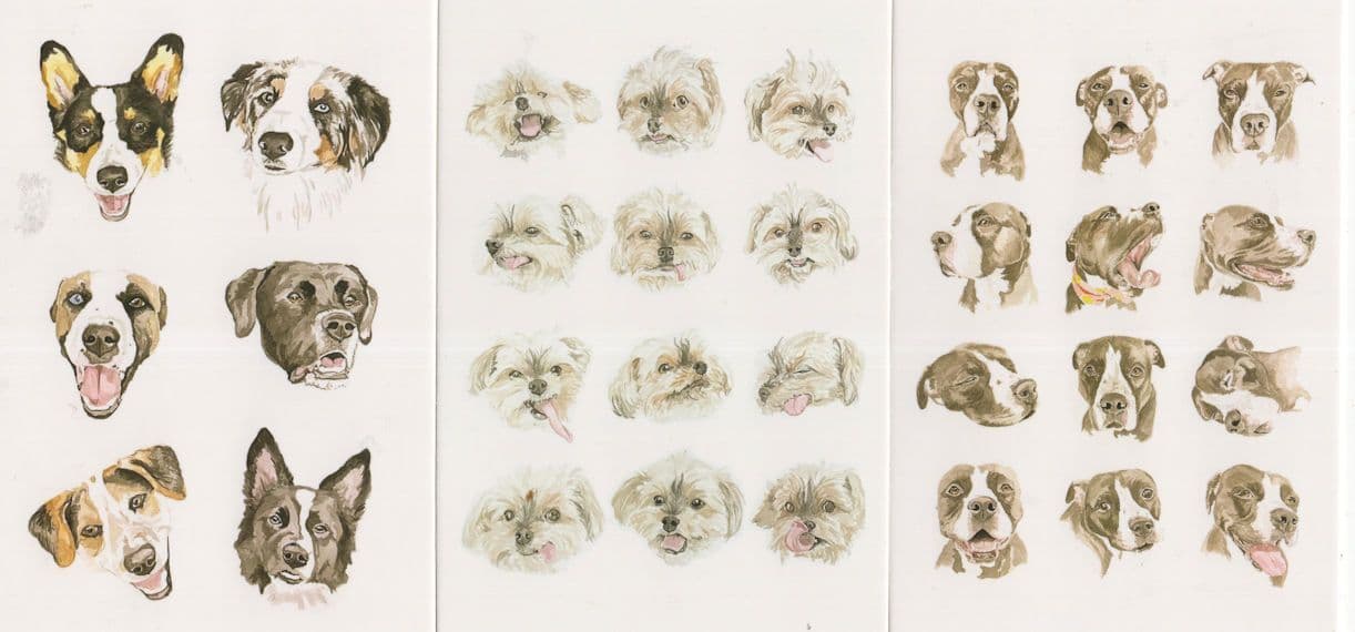 30 Dogs 3x Dog Amazing Faces Painting Postcard s