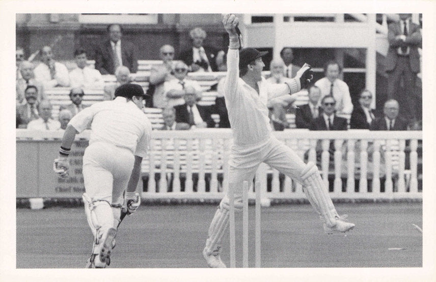 Bobby Parks Hampshire Cricket Club Appeals Wicket Rare 1980s Photo Postcard