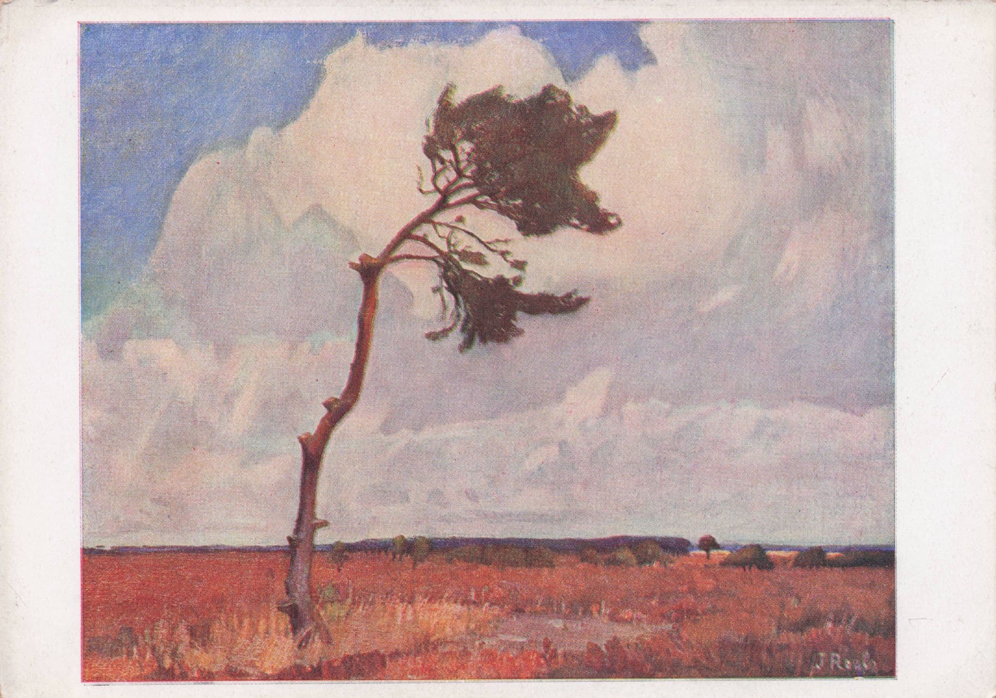 Johan Roels Verwaaide Den Bruyere Old Rare Painting Postcard