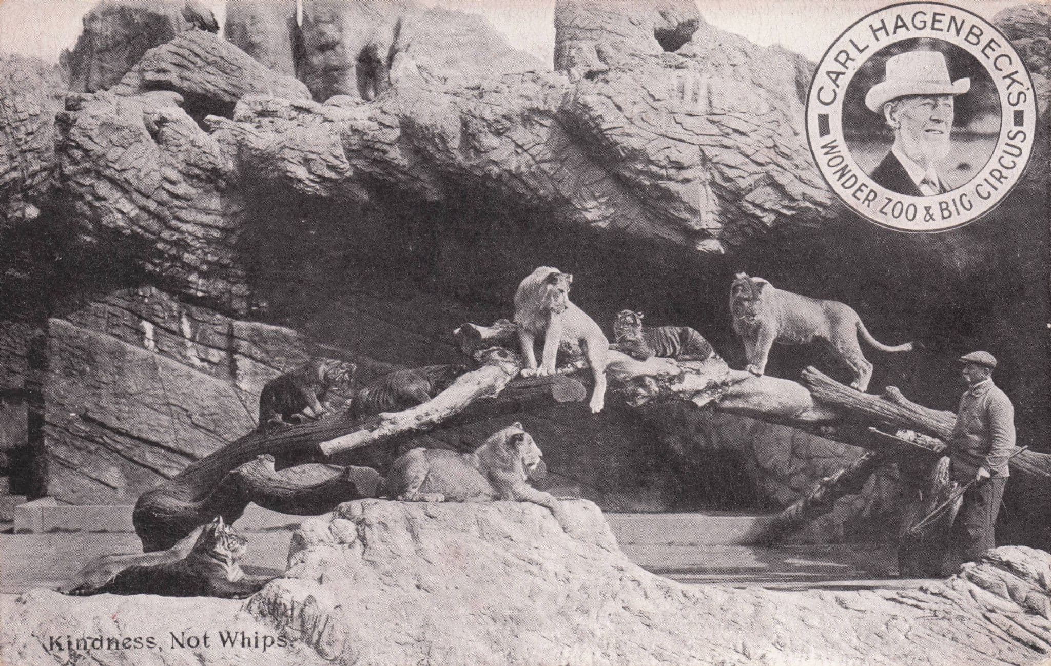 Carl Hagenbeck German Zoo Animal Exporter Kindness Not Whips Postcard