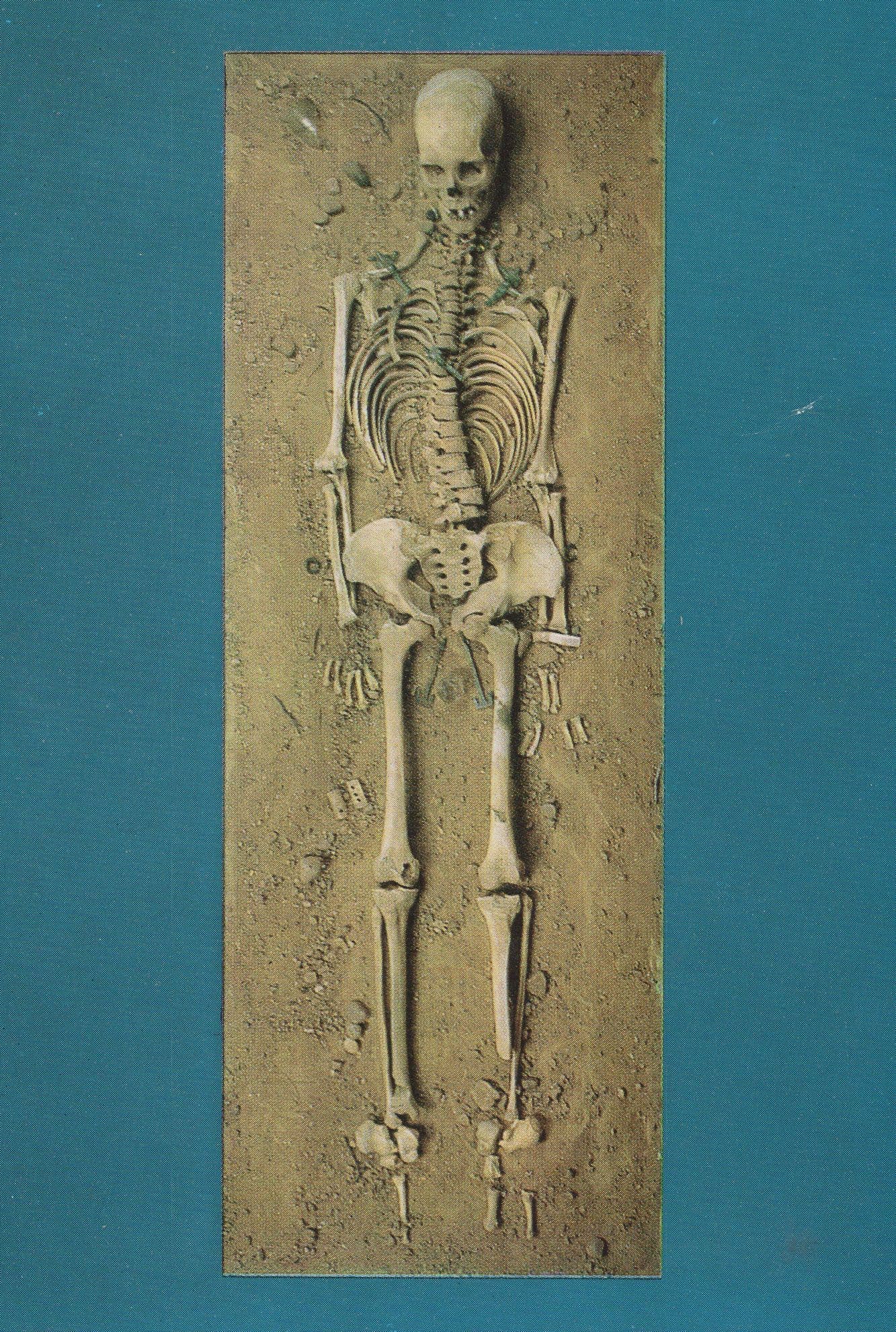 Leicester Skeleton 500AD Anglo Saxon Relic Lady Woman Postcard