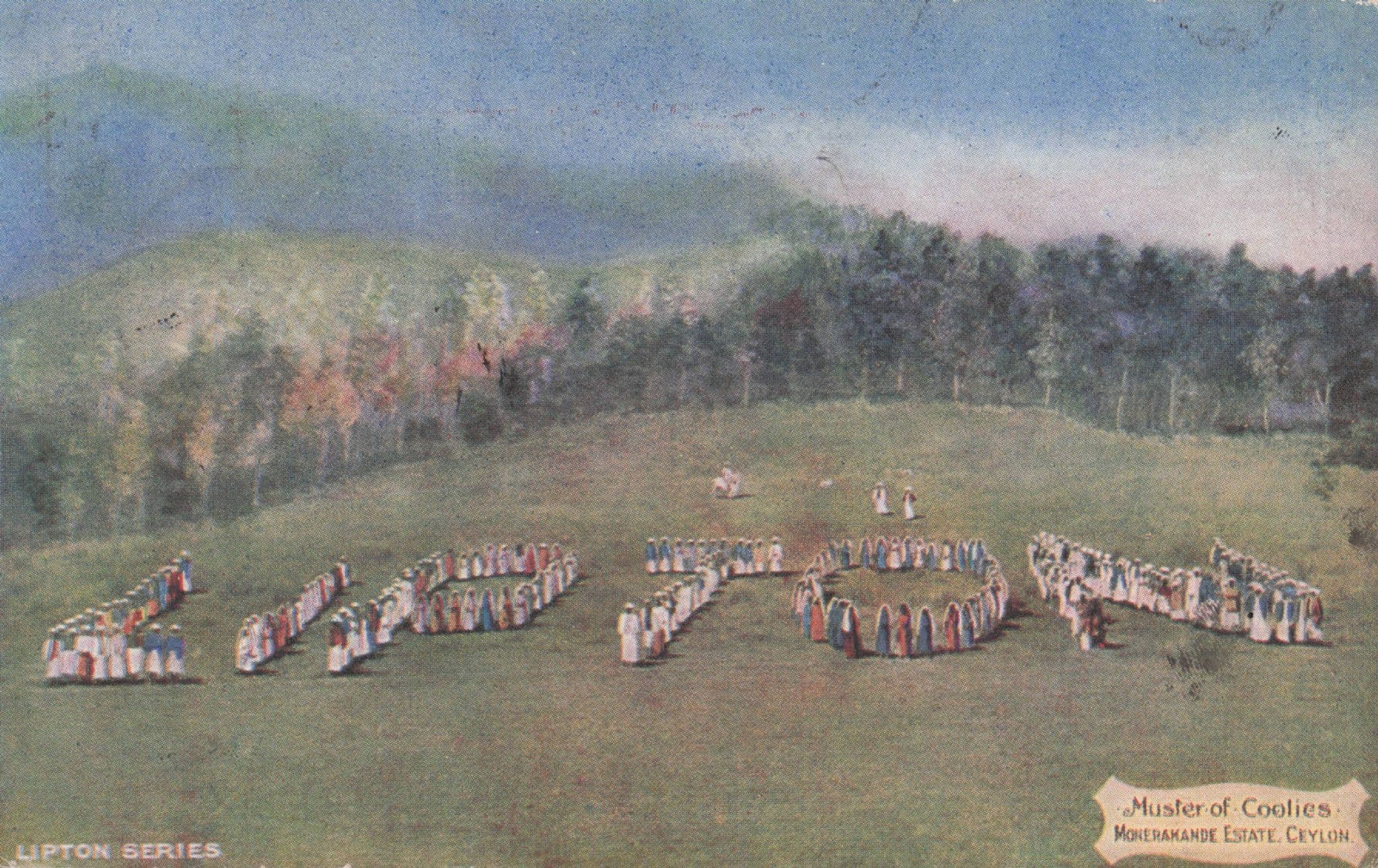 Lipton Tea Advertising Muster of Coolies Ceylon India Old Postcard