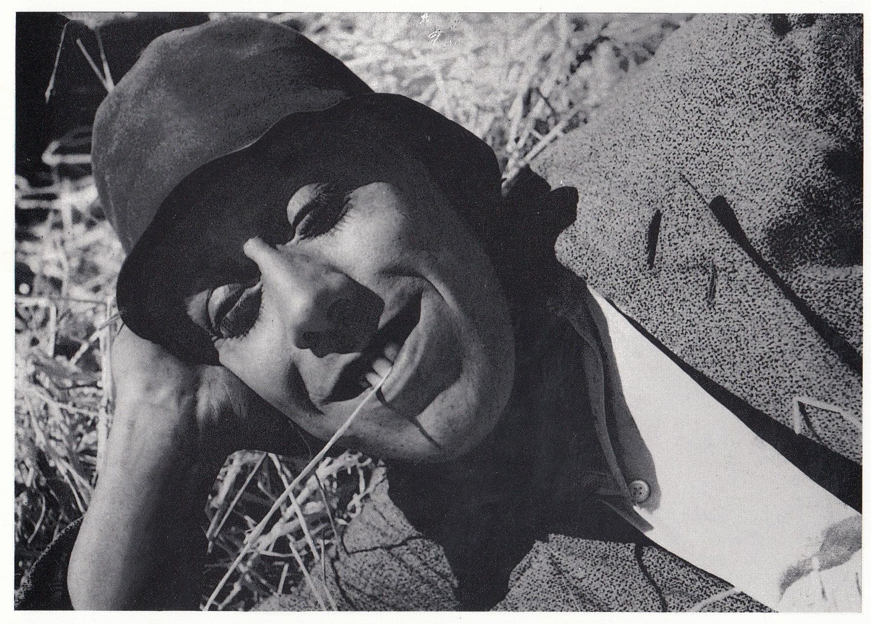 Marcel Pagnol Fanny Film Director Chewing Straw Photo Postcard